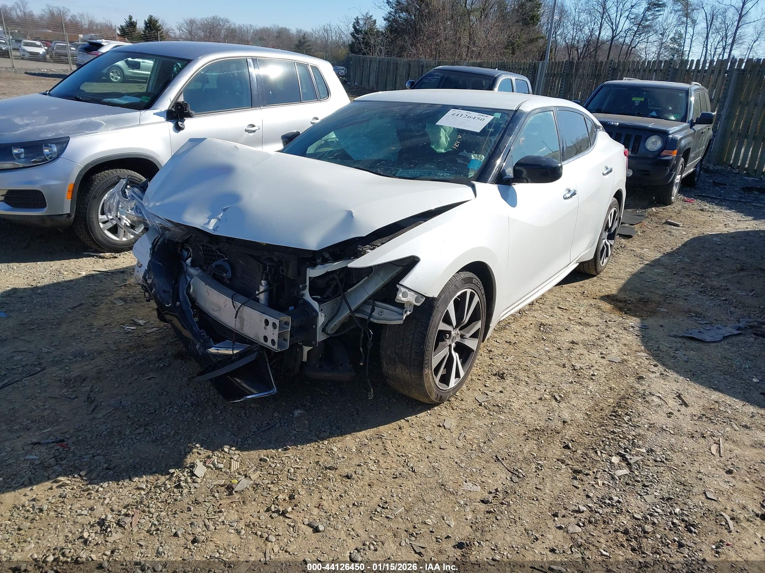 NISSAN MAXIMA image 2