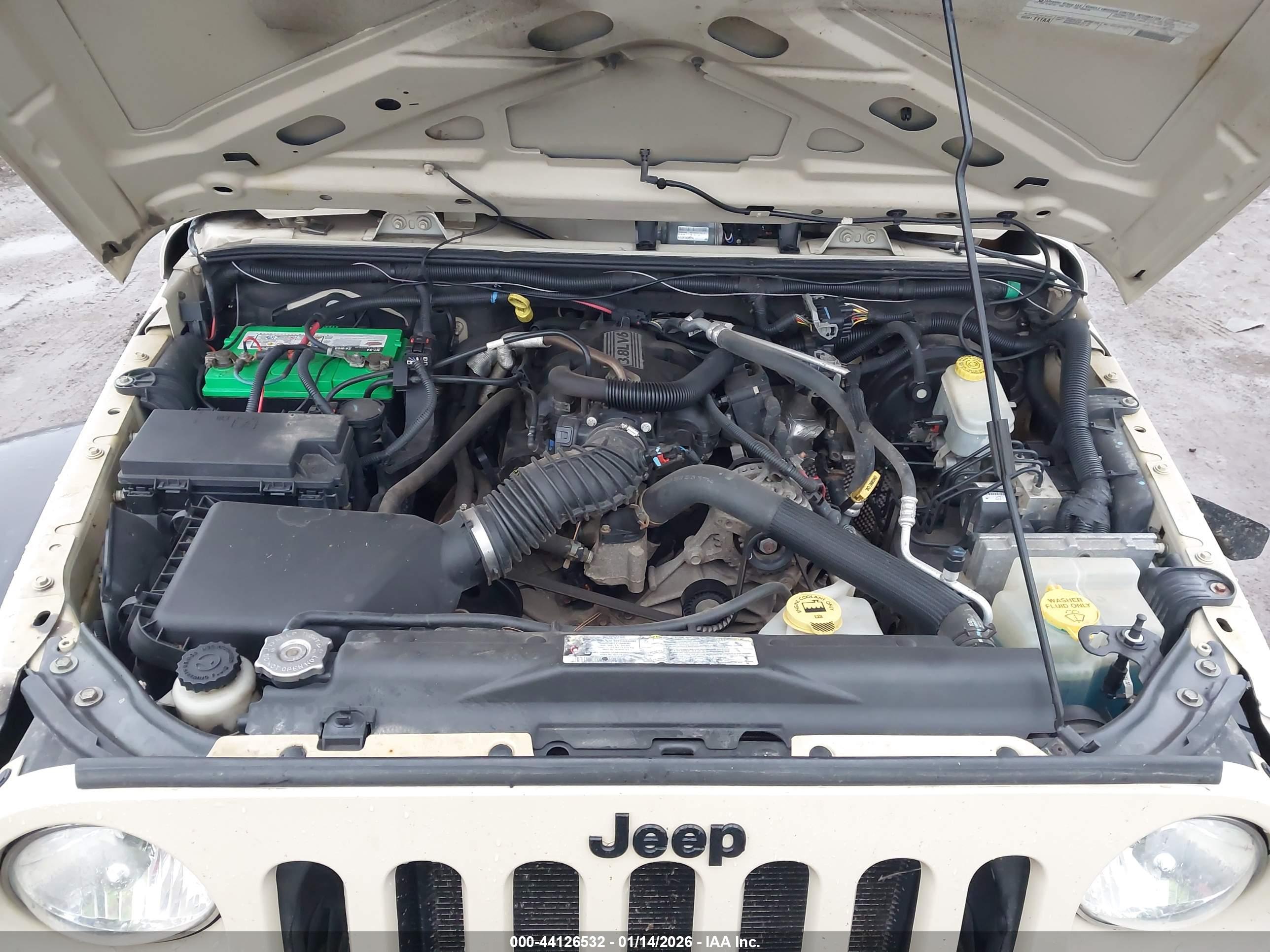 JEEP WRANGLER image 10