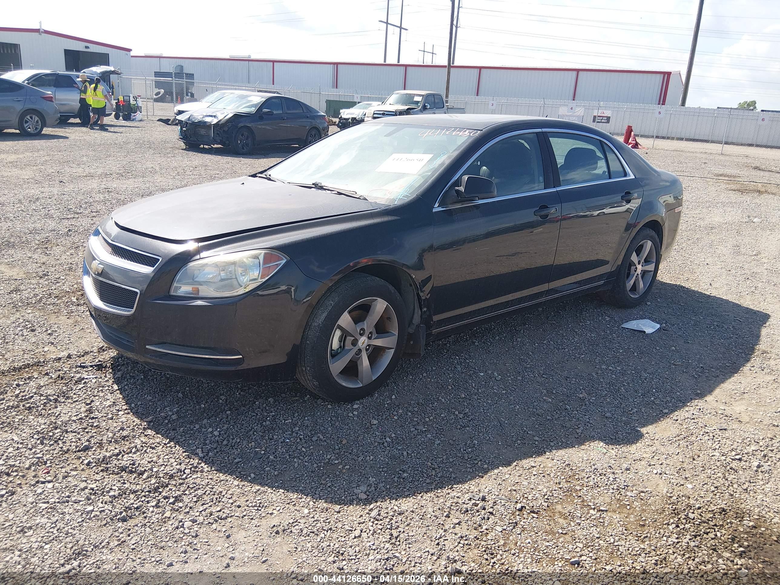 CHEVROLET MALIBU image 2