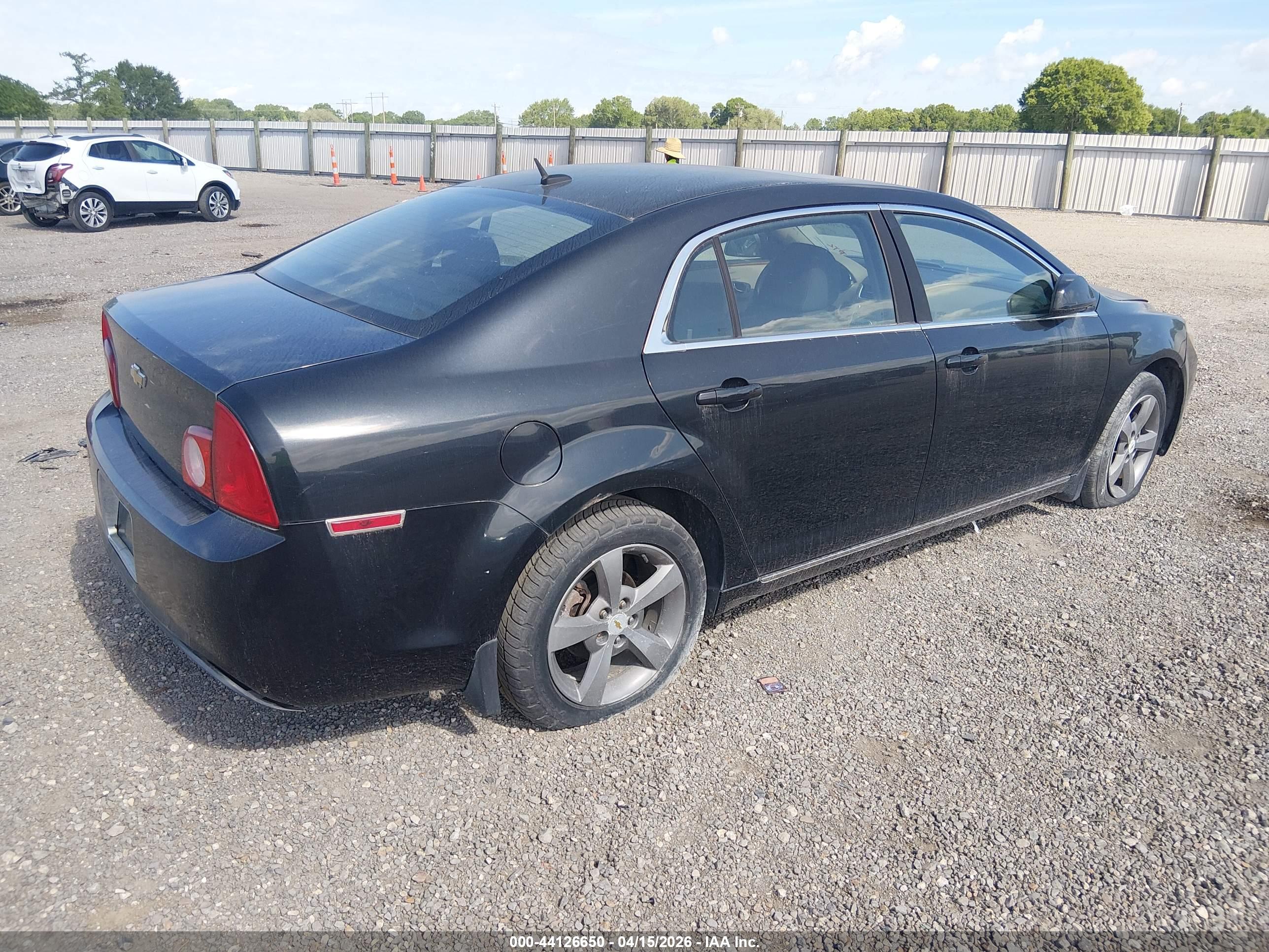 CHEVROLET MALIBU image 4