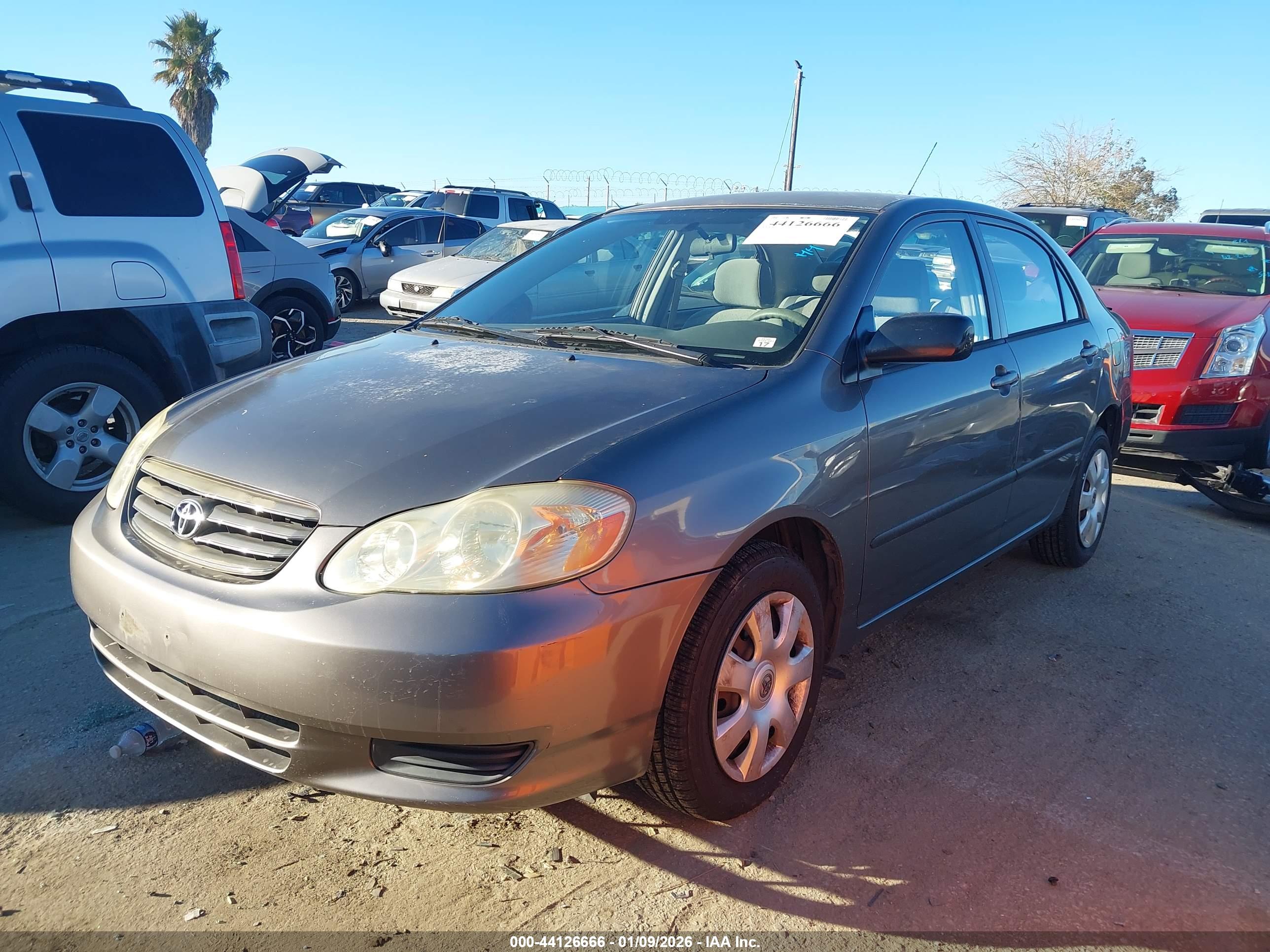 TOYOTA COROLLA image 2