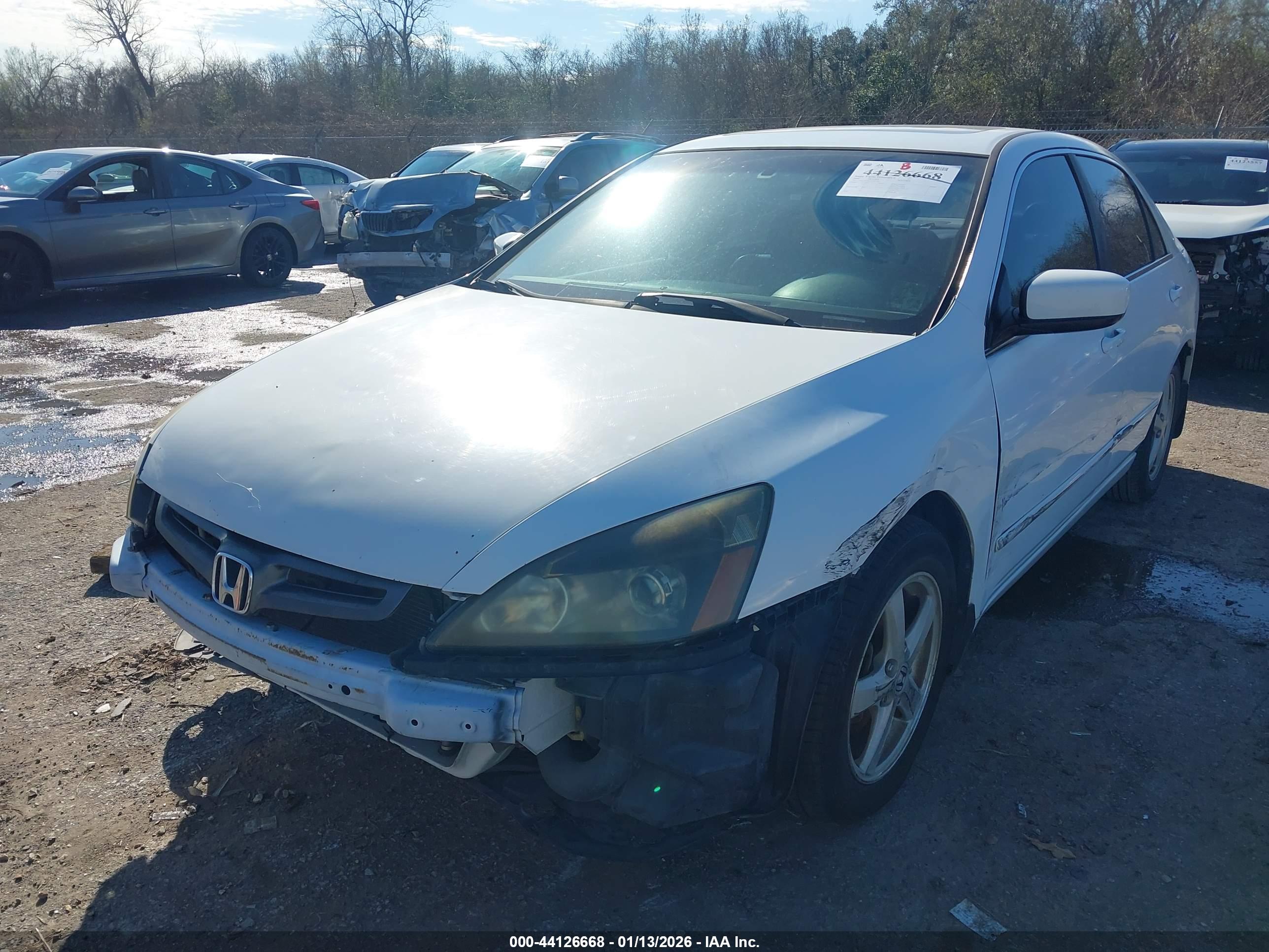 HONDA ACCORD image 2