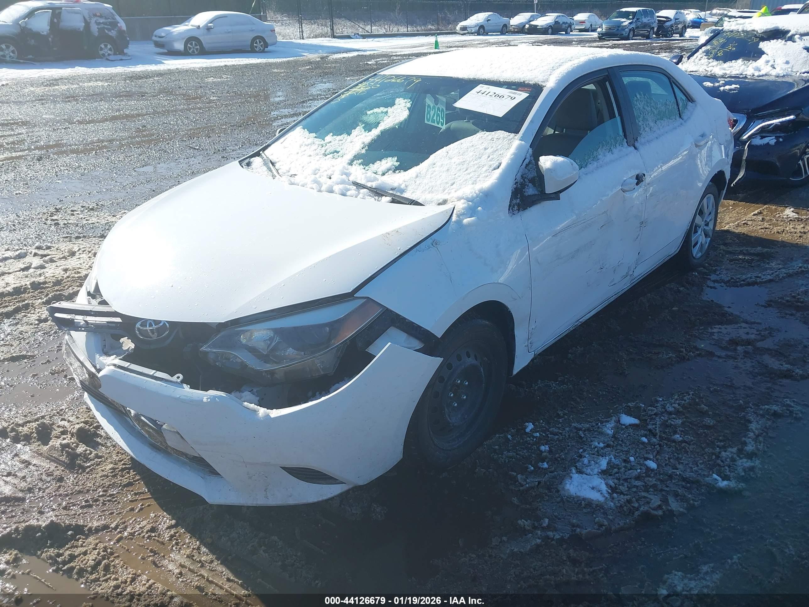 TOYOTA COROLLA image 2