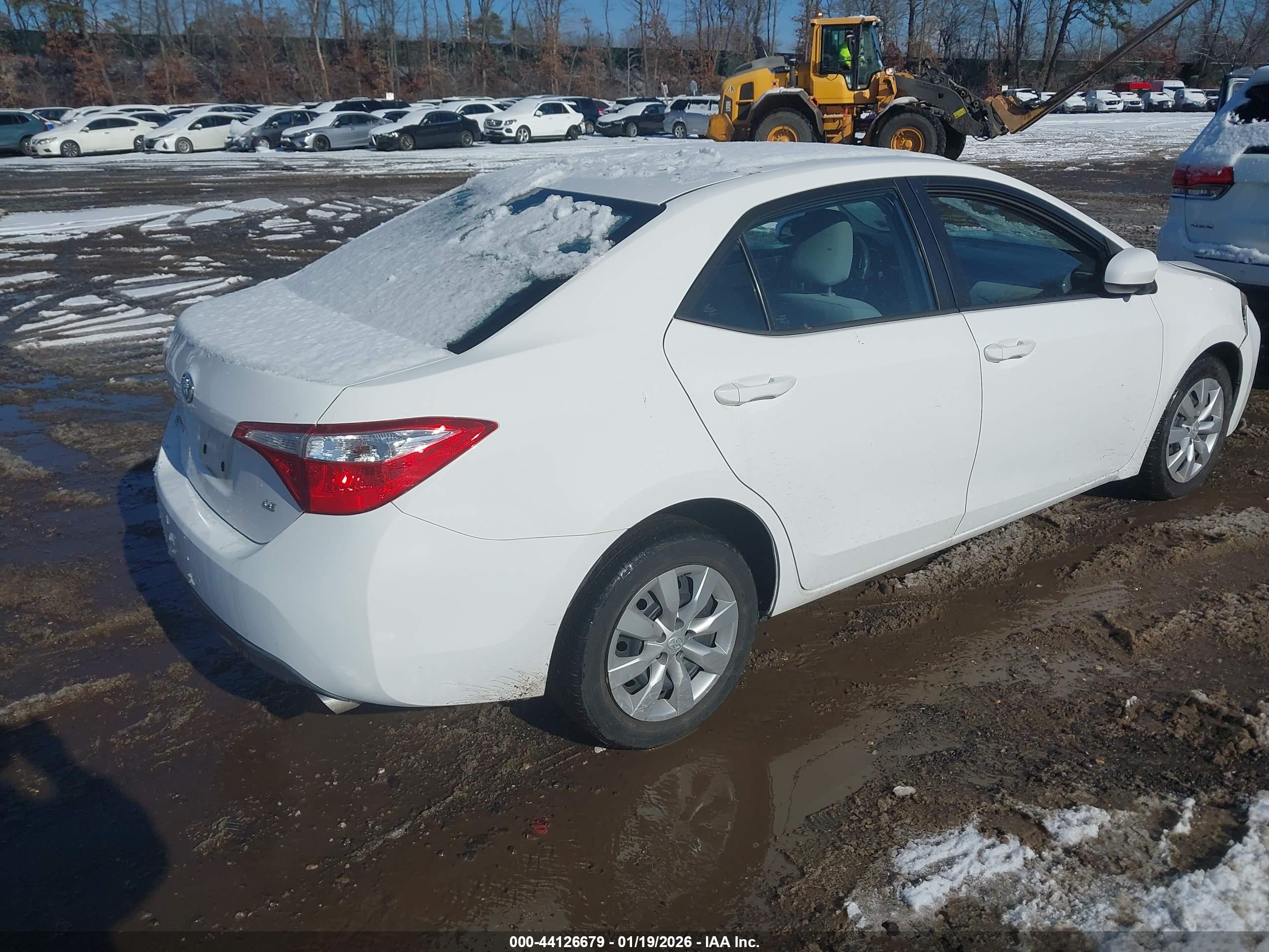 TOYOTA COROLLA image 4