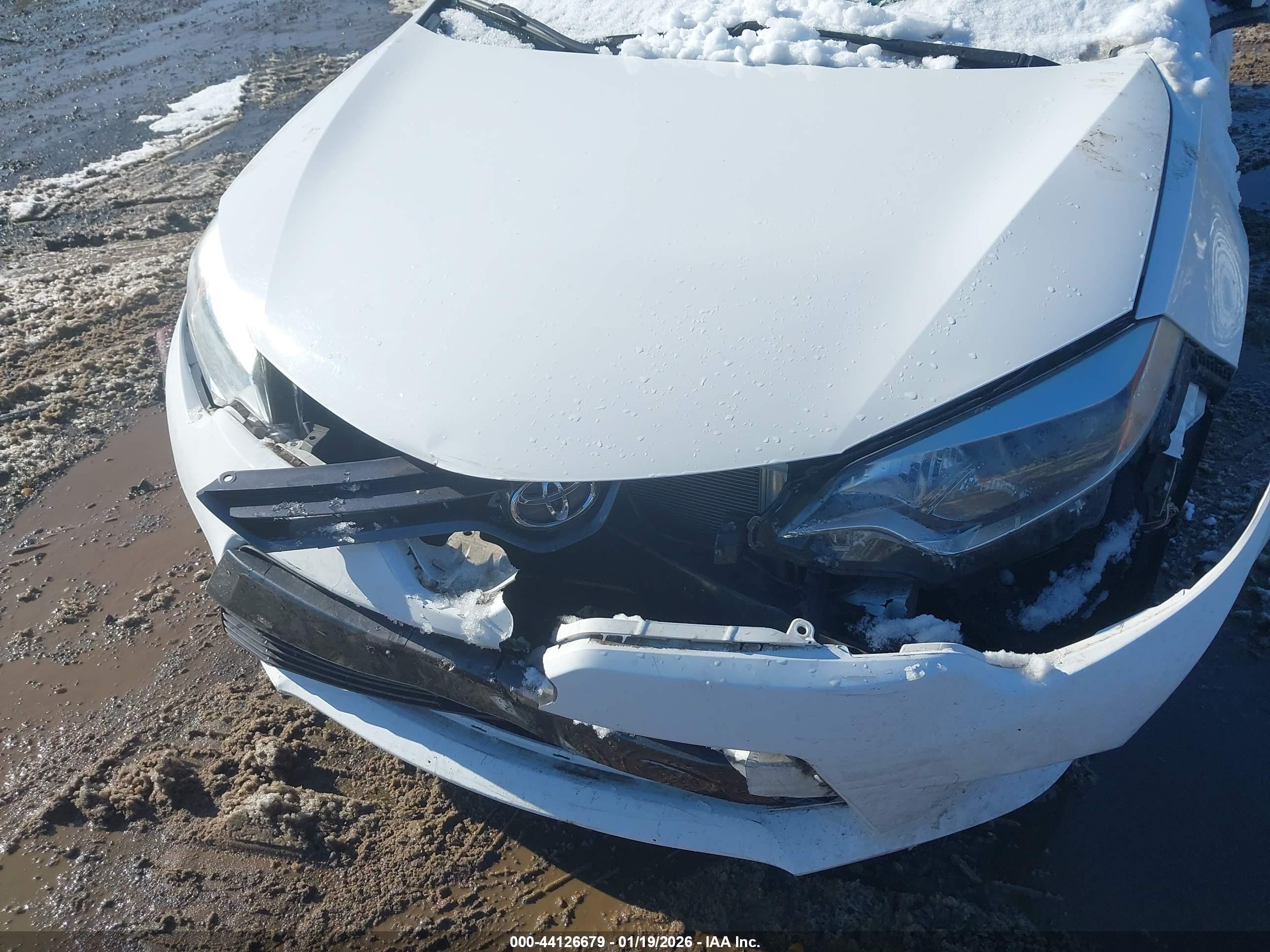 TOYOTA COROLLA image 6