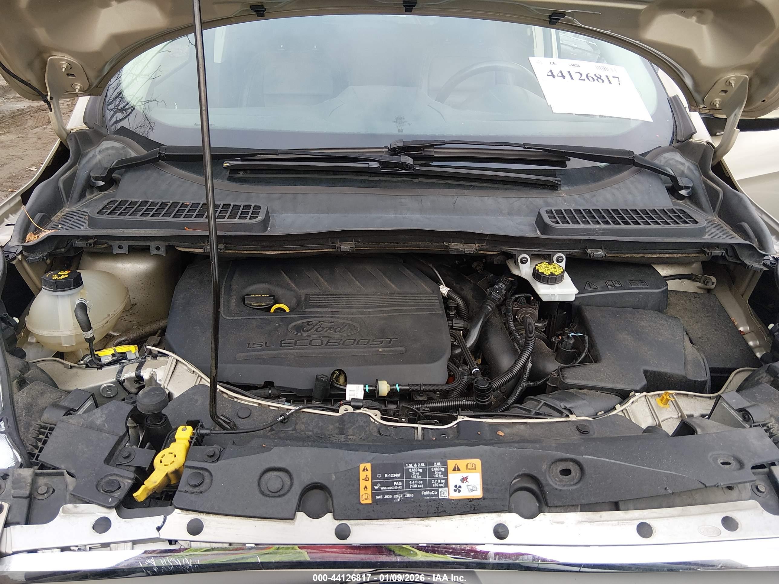 FORD ESCAPE image 10