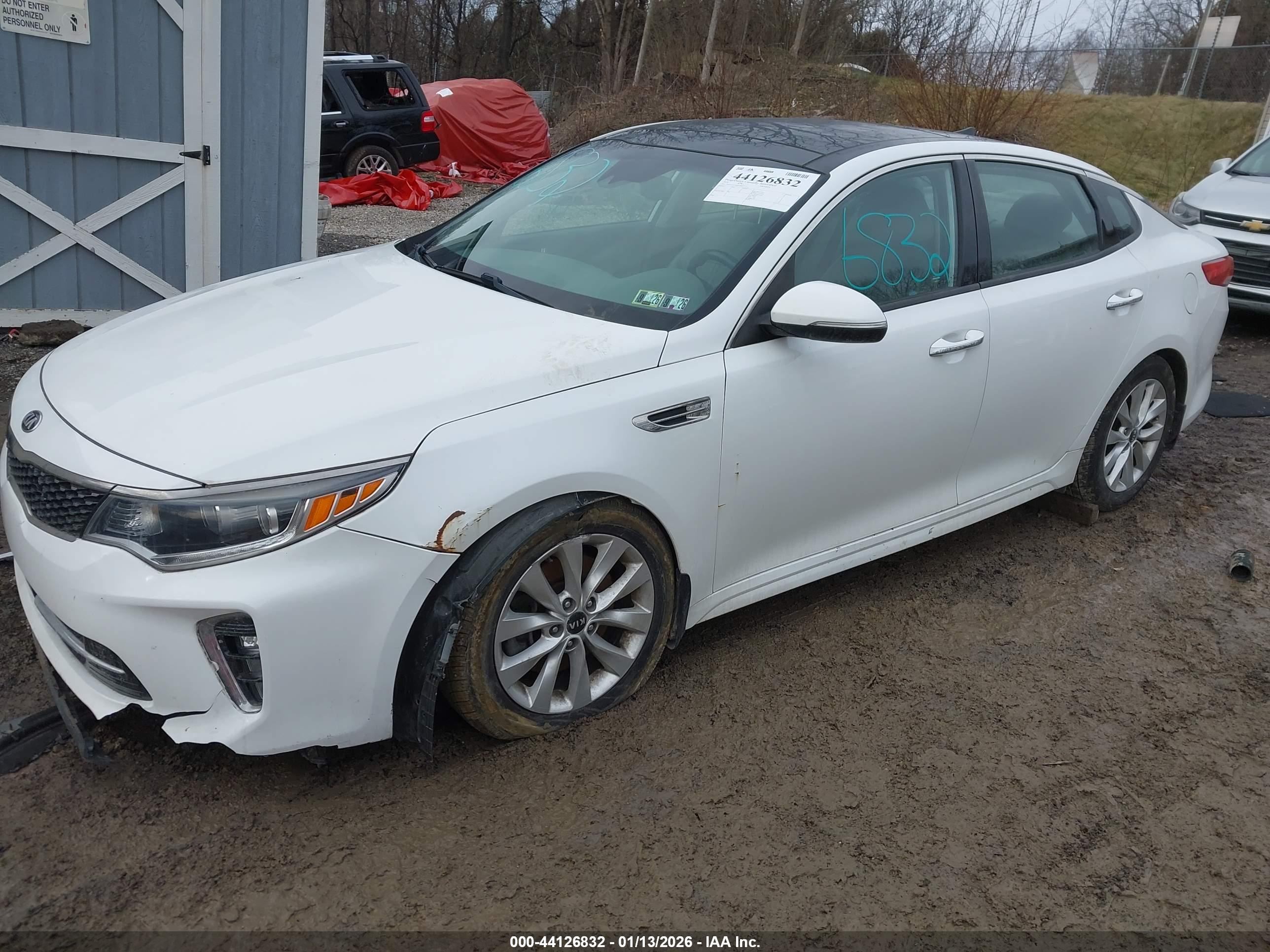 KIA OPTIMA image 2