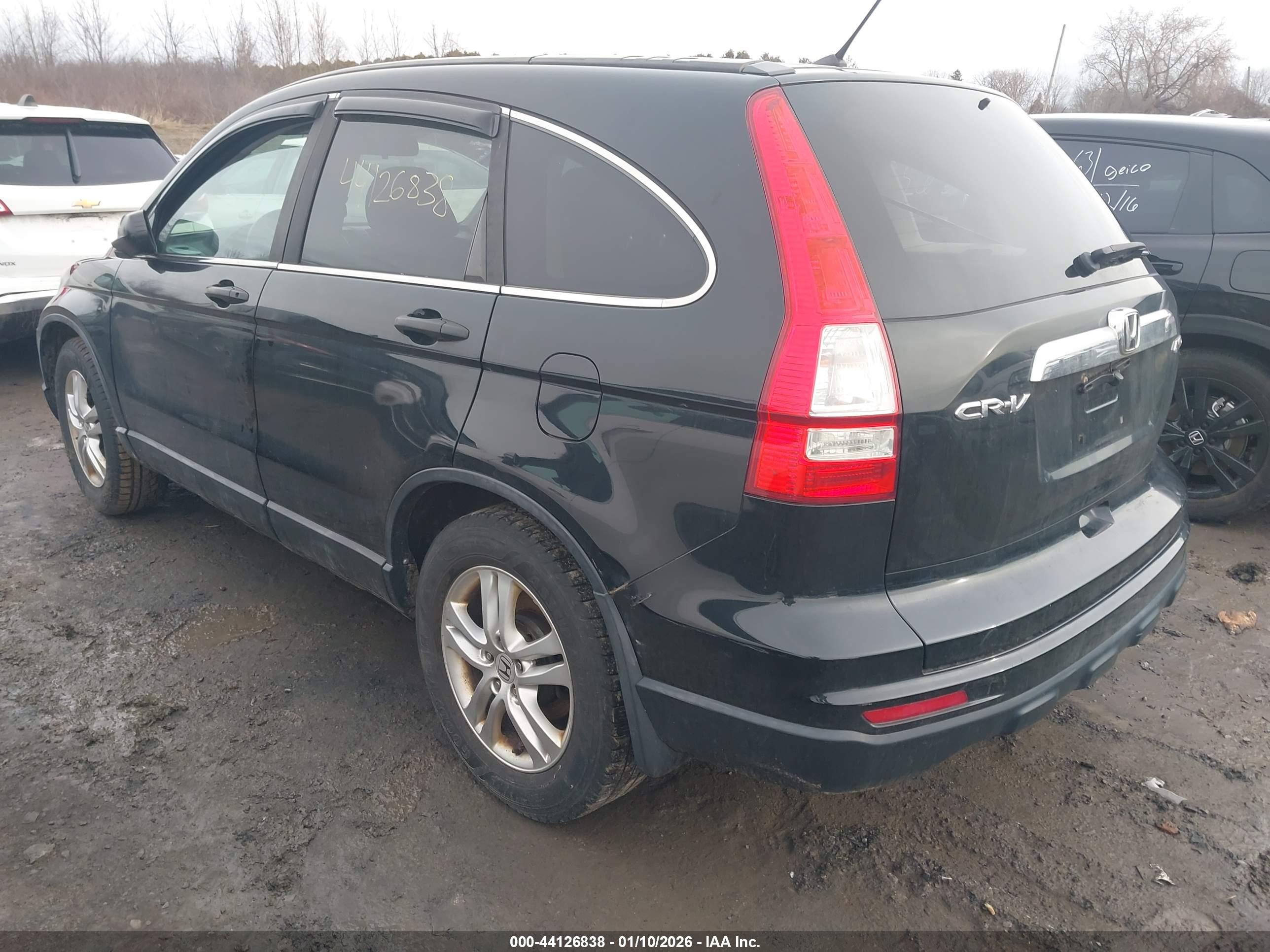 HONDA CR-V image 3