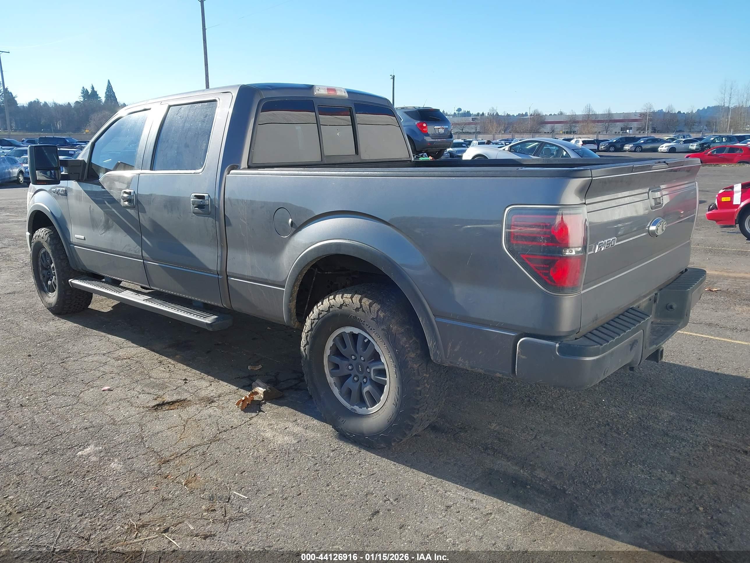 FORD F-150 image 3