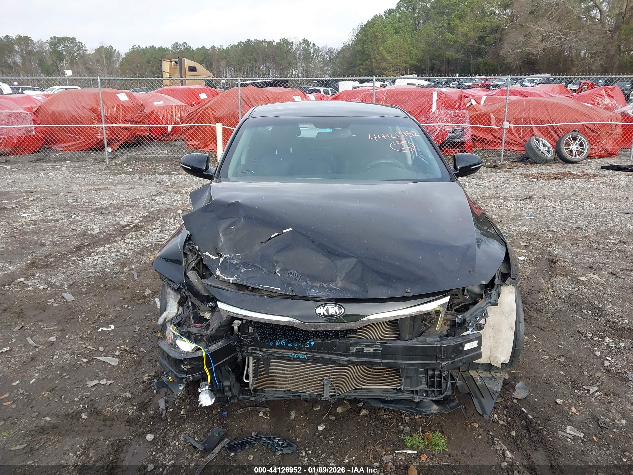 KIA OPTIMA image 6