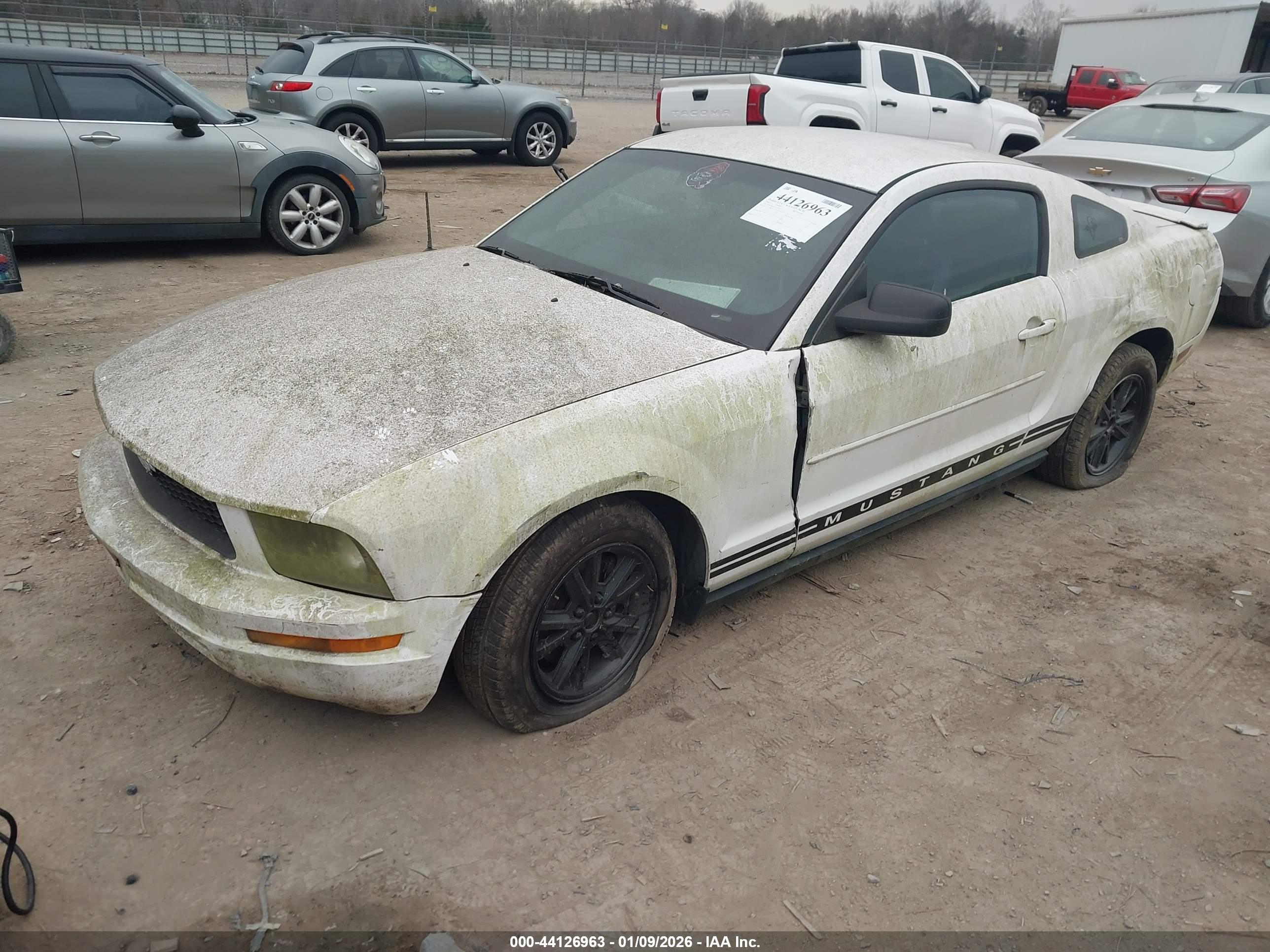 FORD MUSTANG image 2