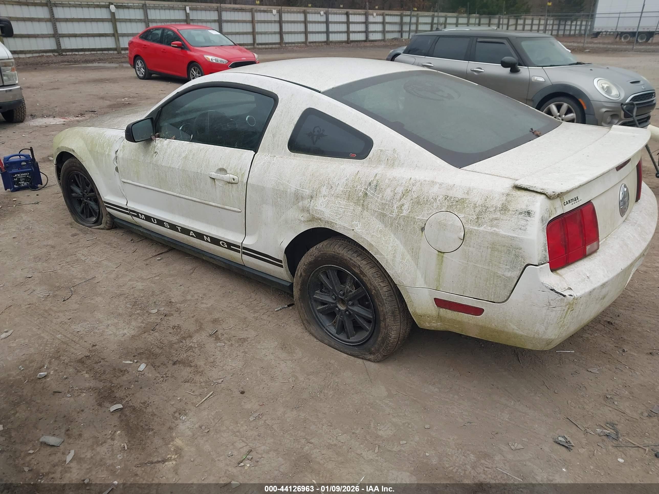 FORD MUSTANG image 3