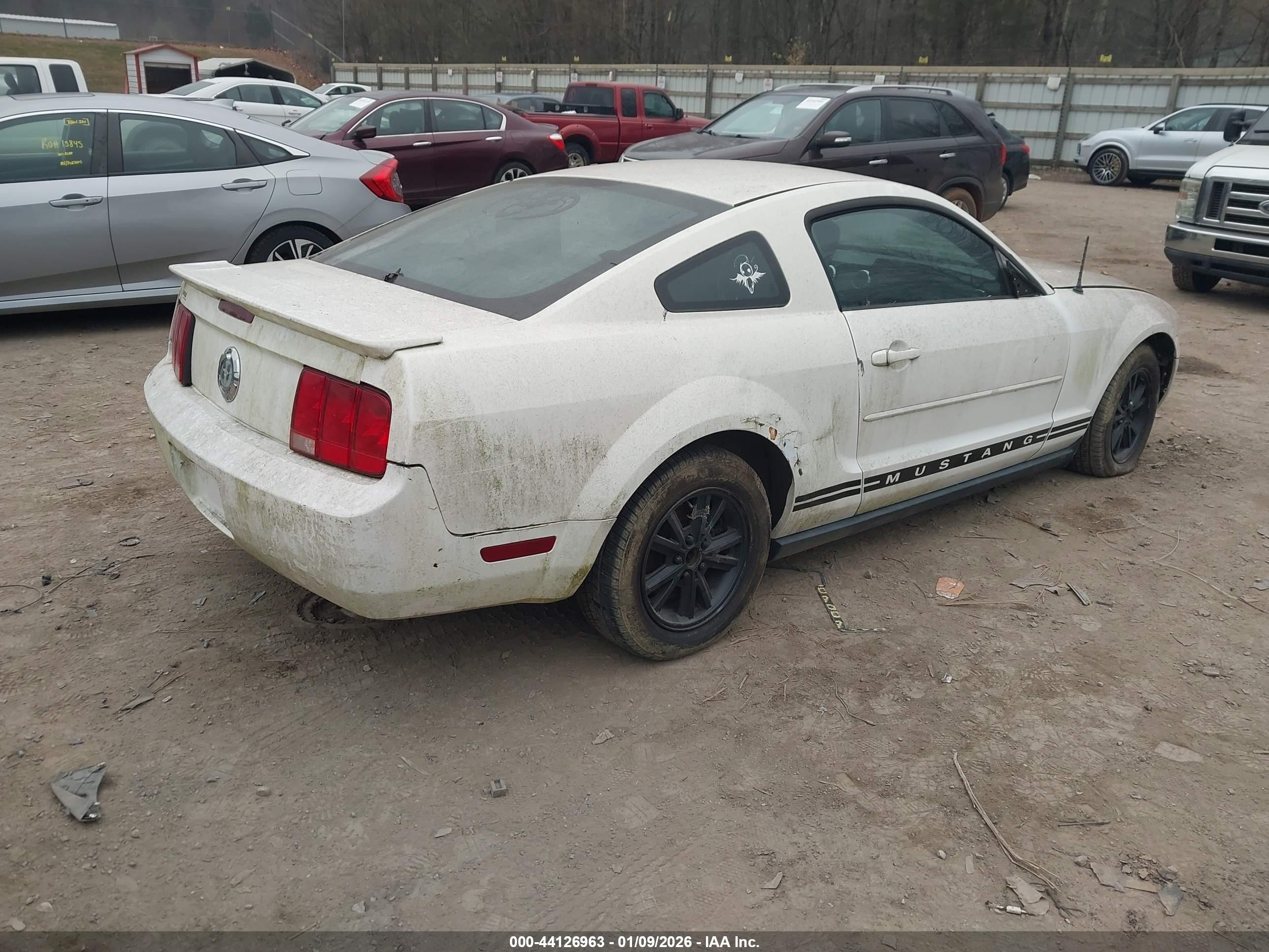 FORD MUSTANG image 4