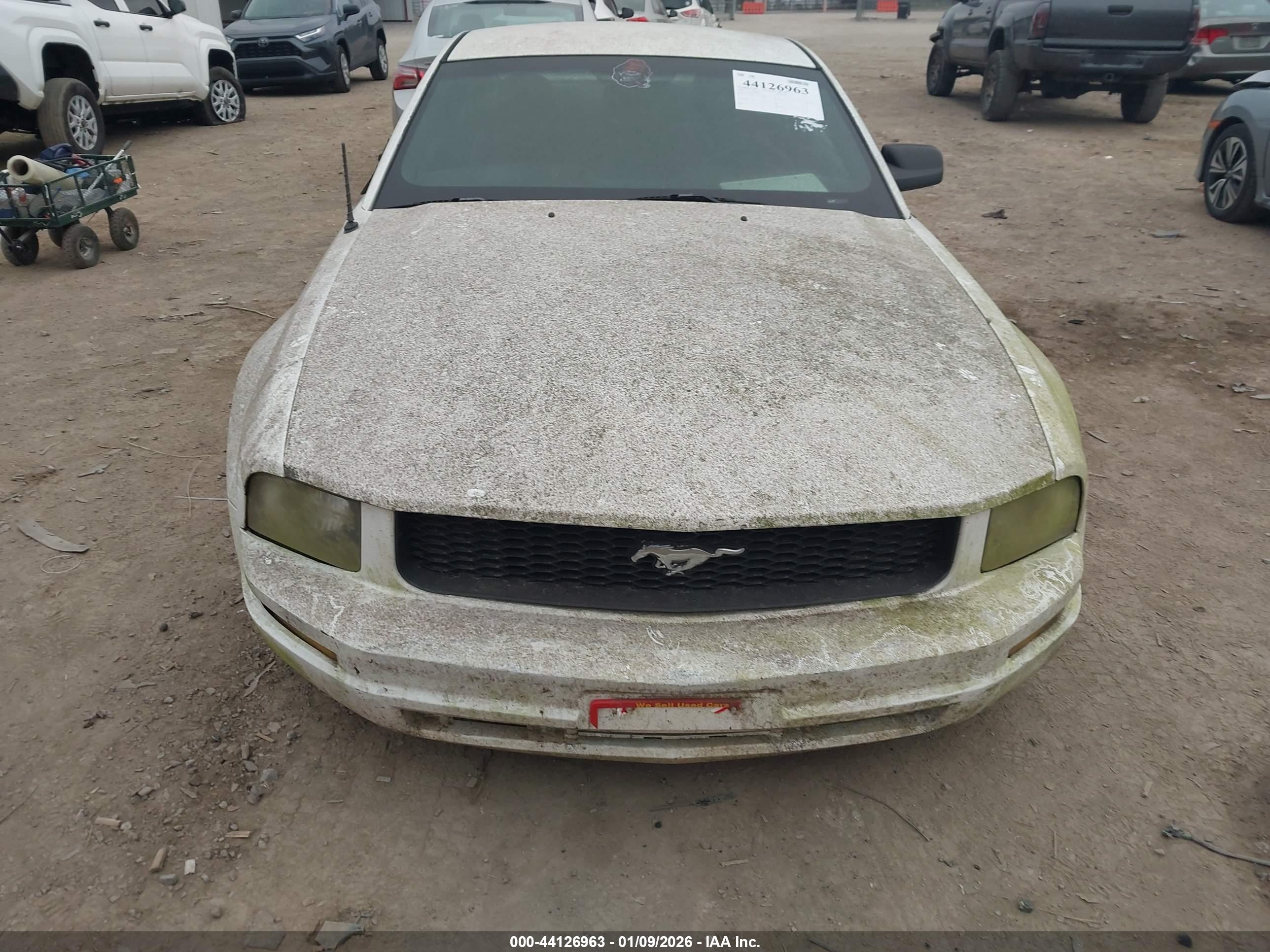FORD MUSTANG image 6