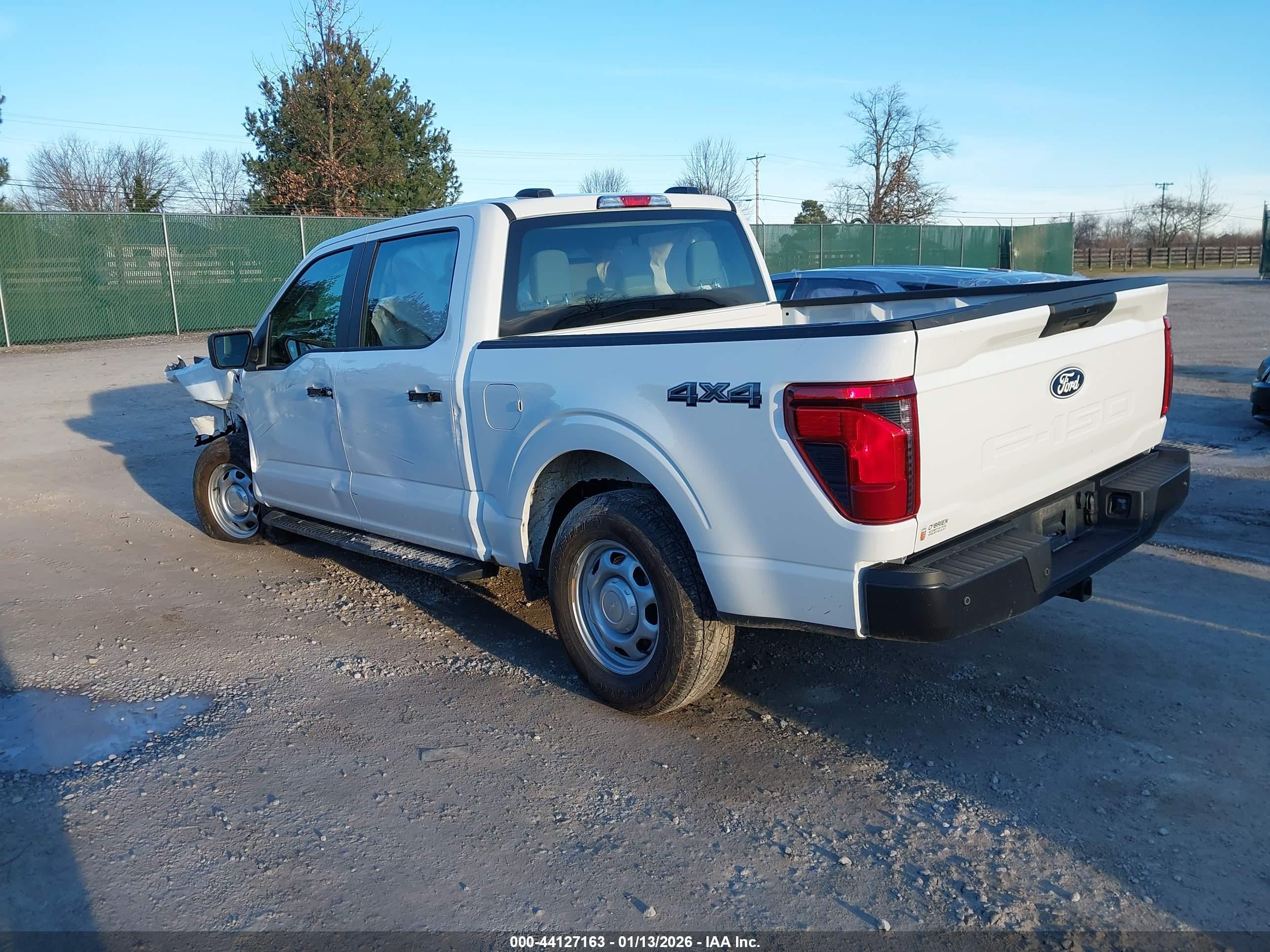 FORD F-150 image 3