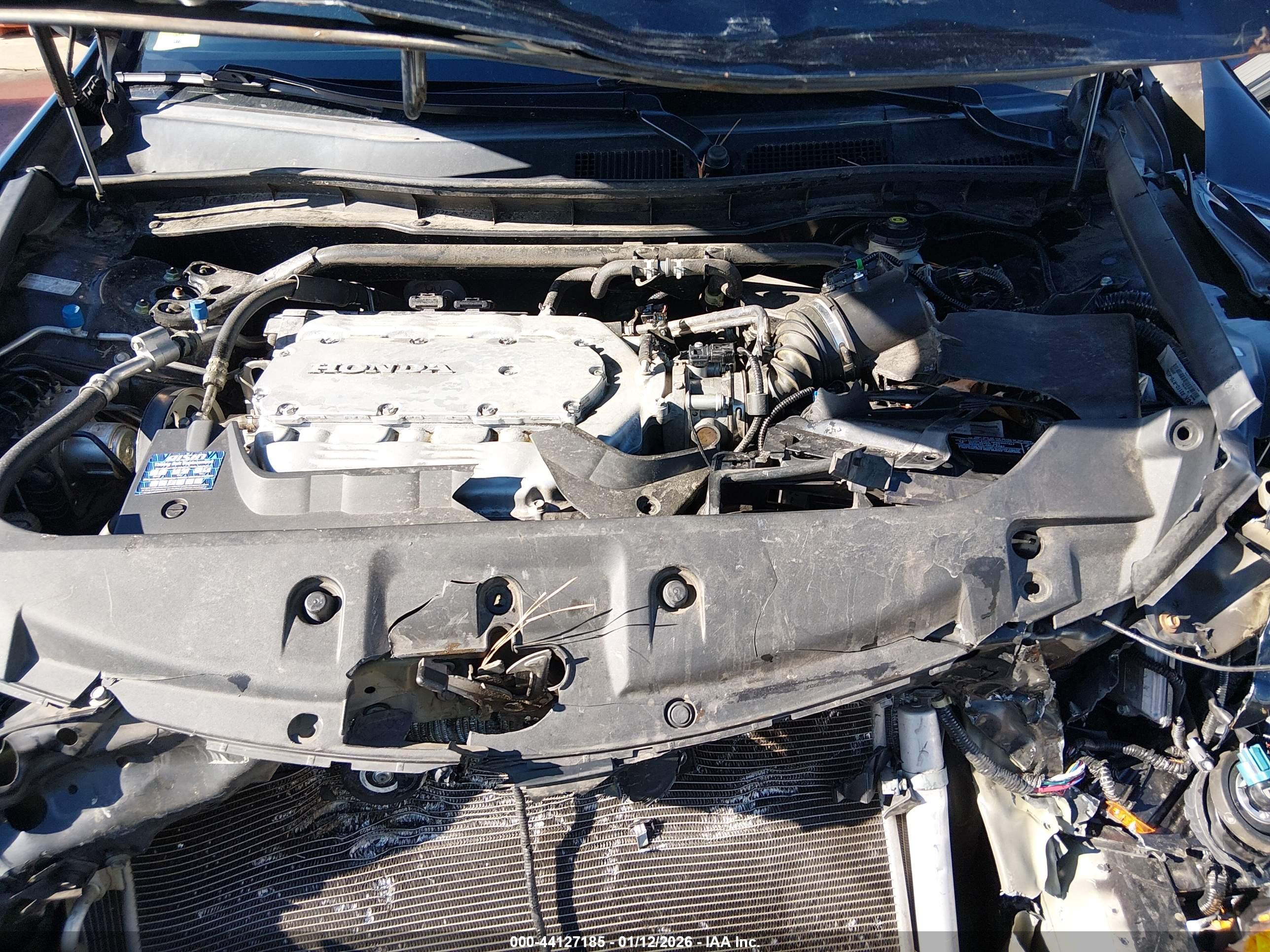HONDA ACCORD image 10