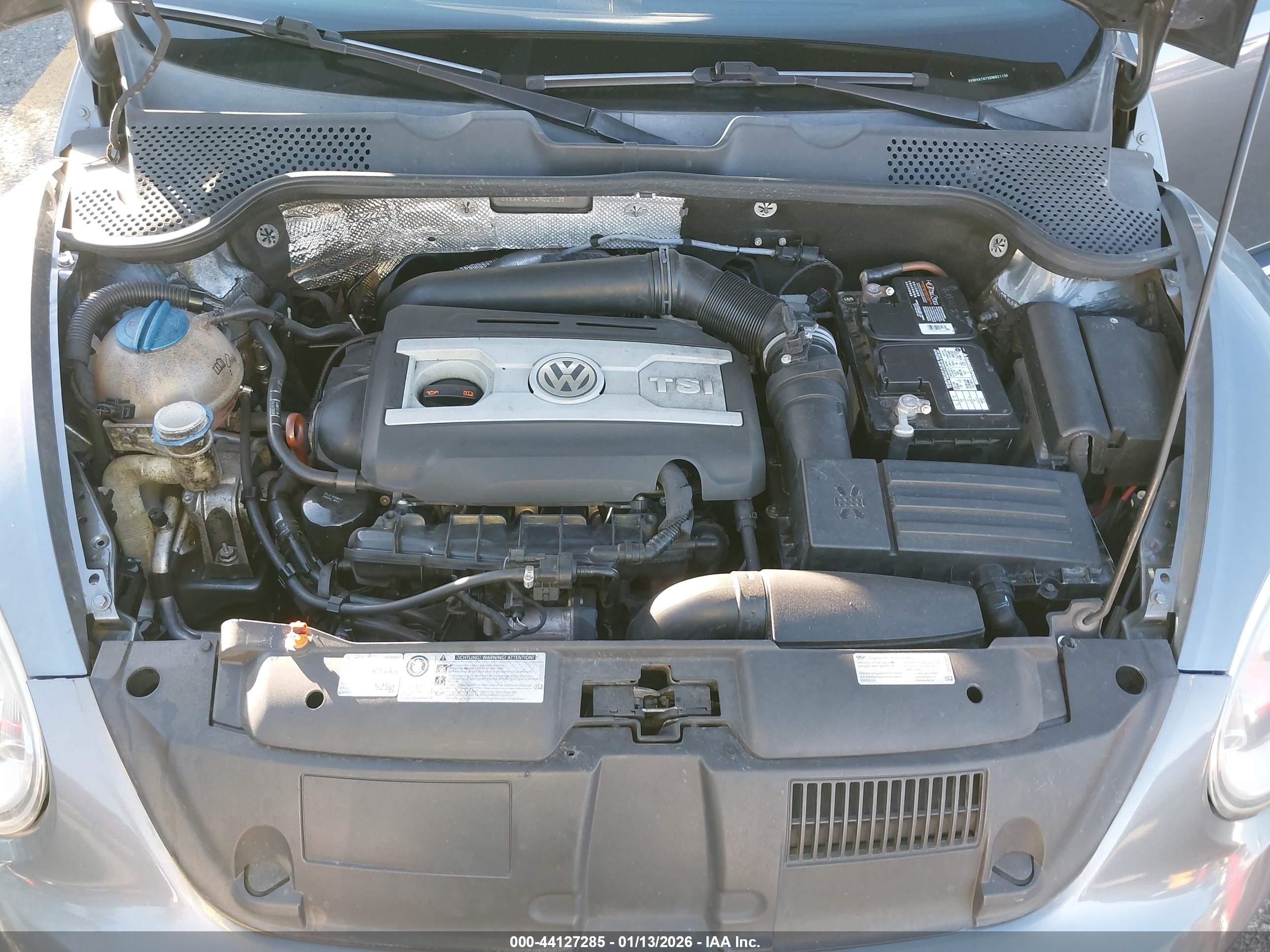 VOLKSWAGEN BEETLE image 10