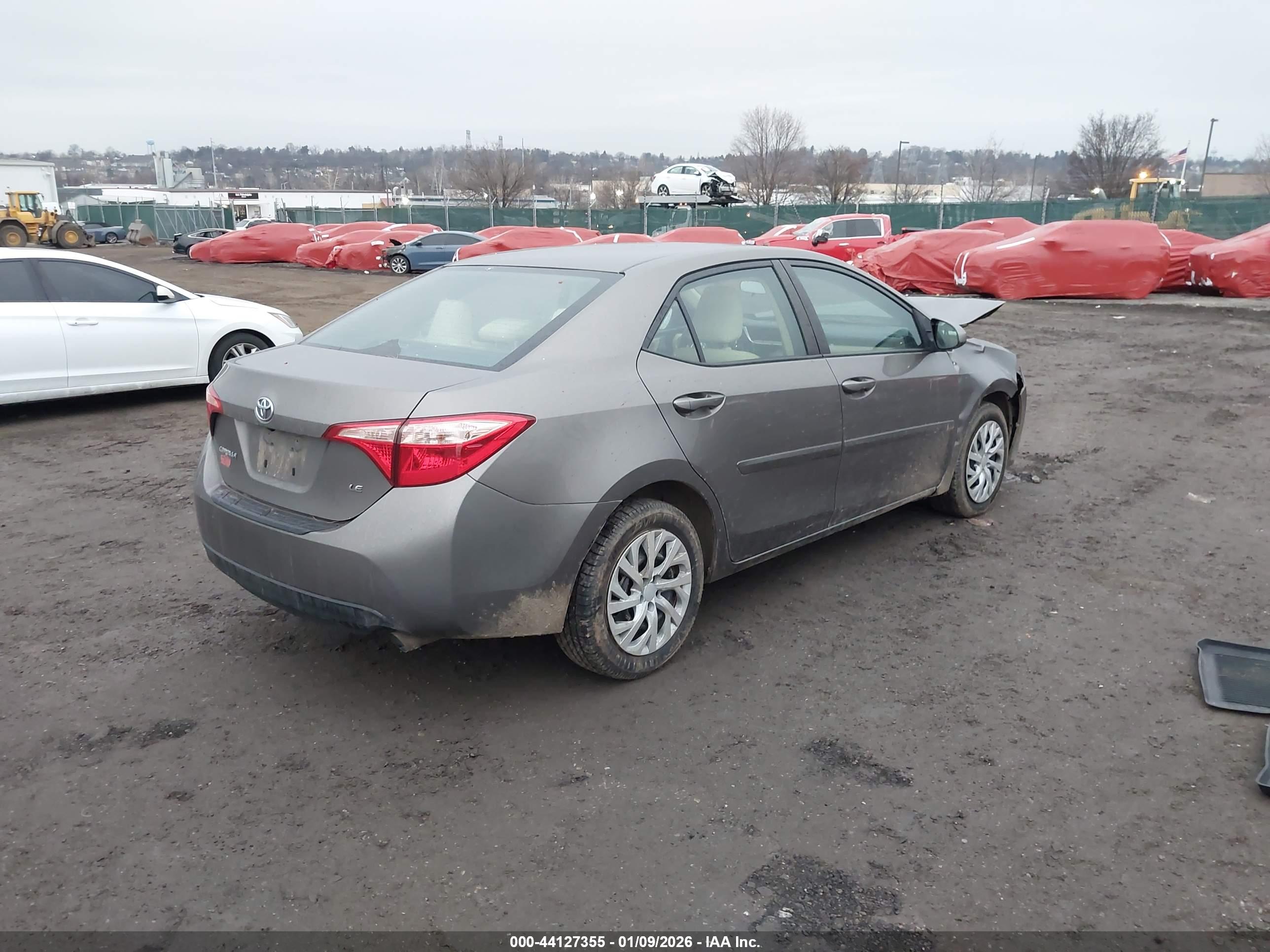 TOYOTA COROLLA image 4