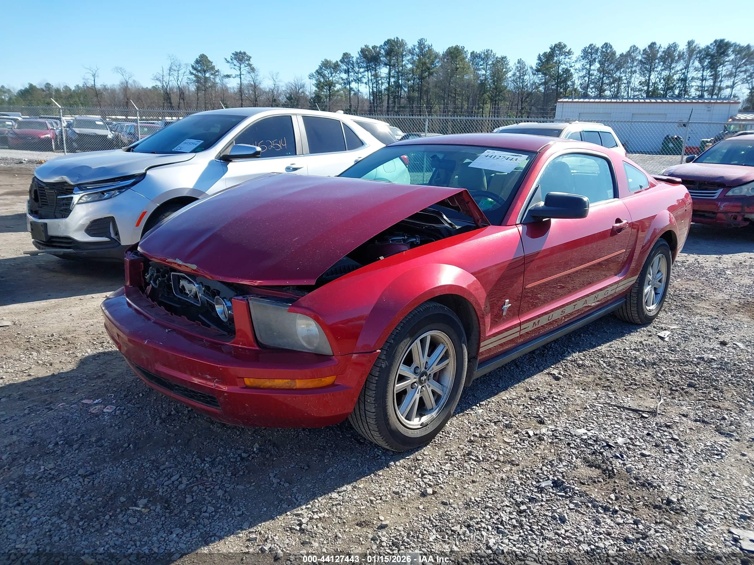 FORD MUSTANG image 2