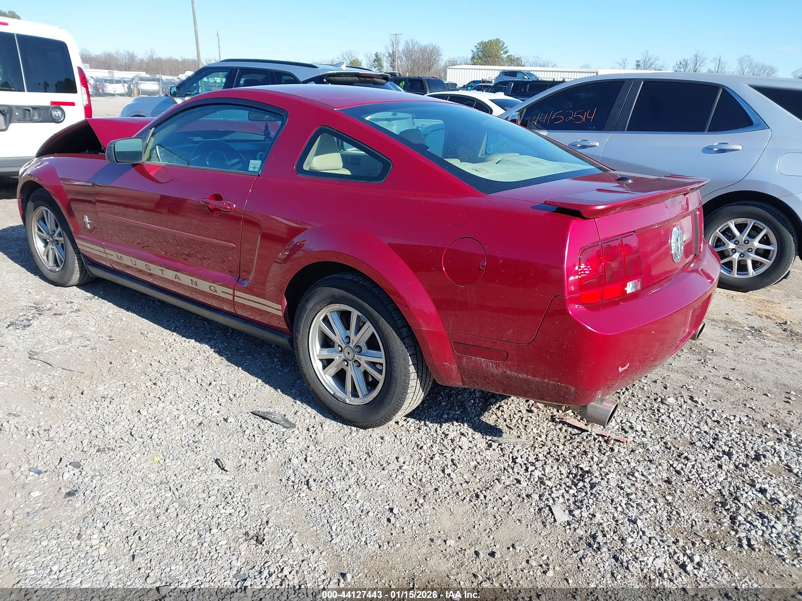 FORD MUSTANG image 3