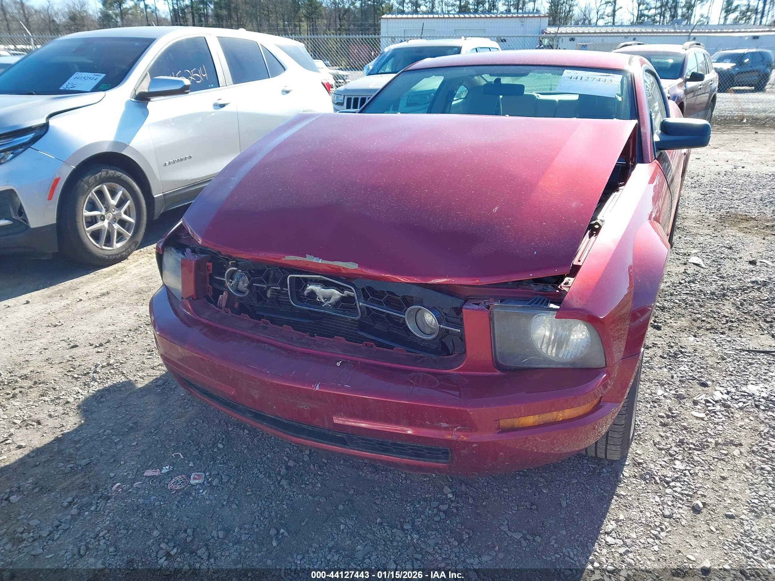 FORD MUSTANG image 6