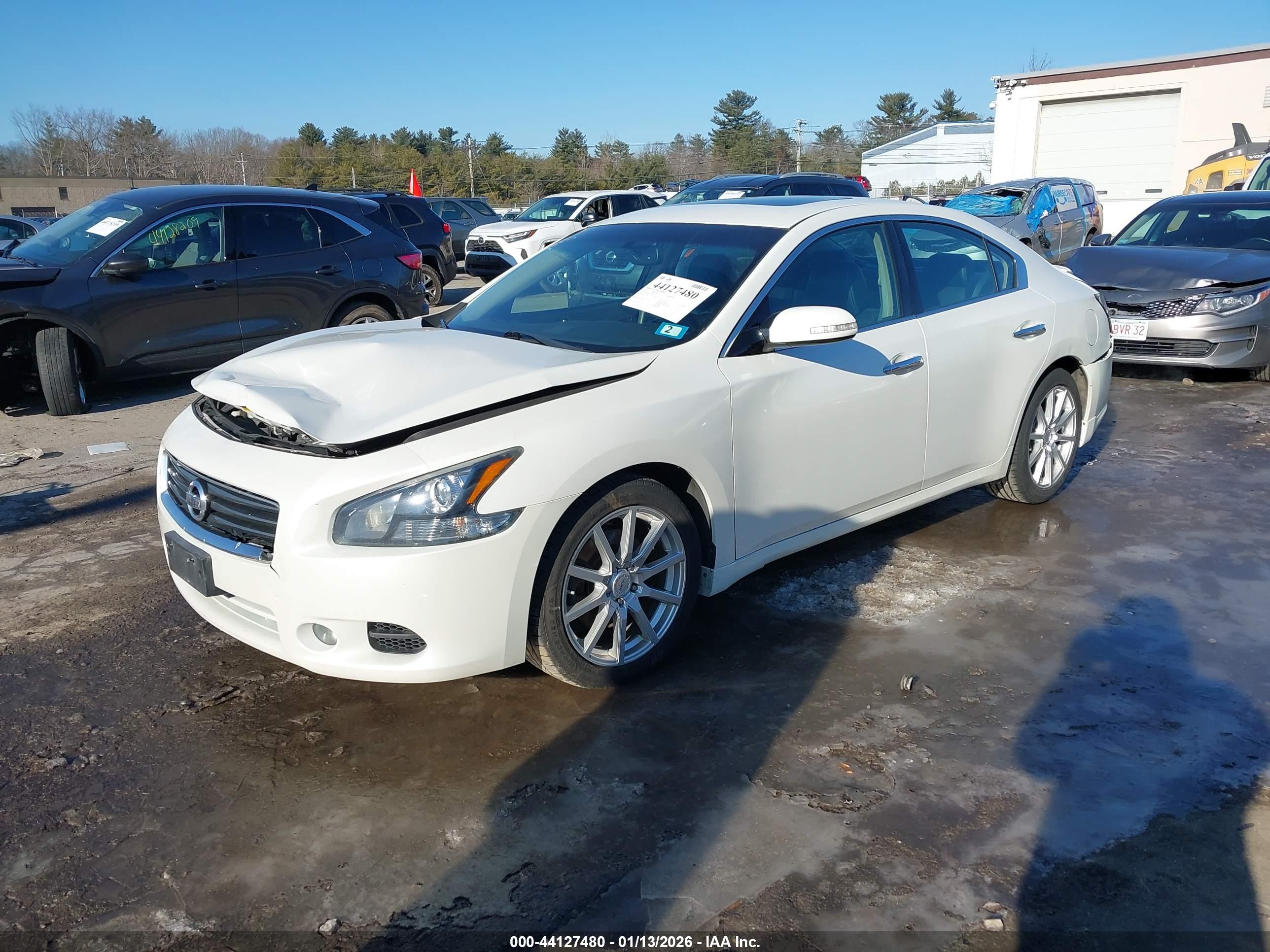 NISSAN MAXIMA image 2