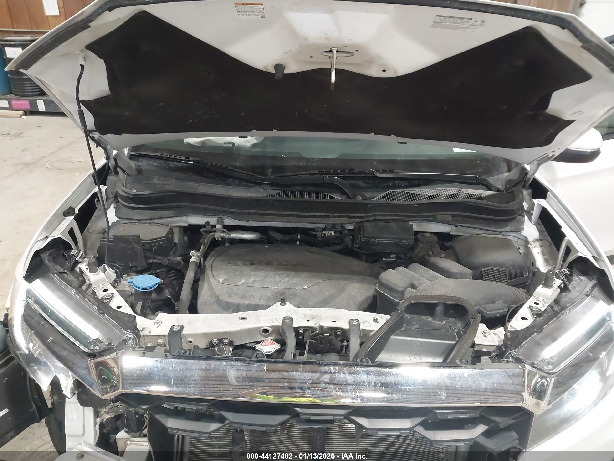 HONDA PASSPORT image 10
