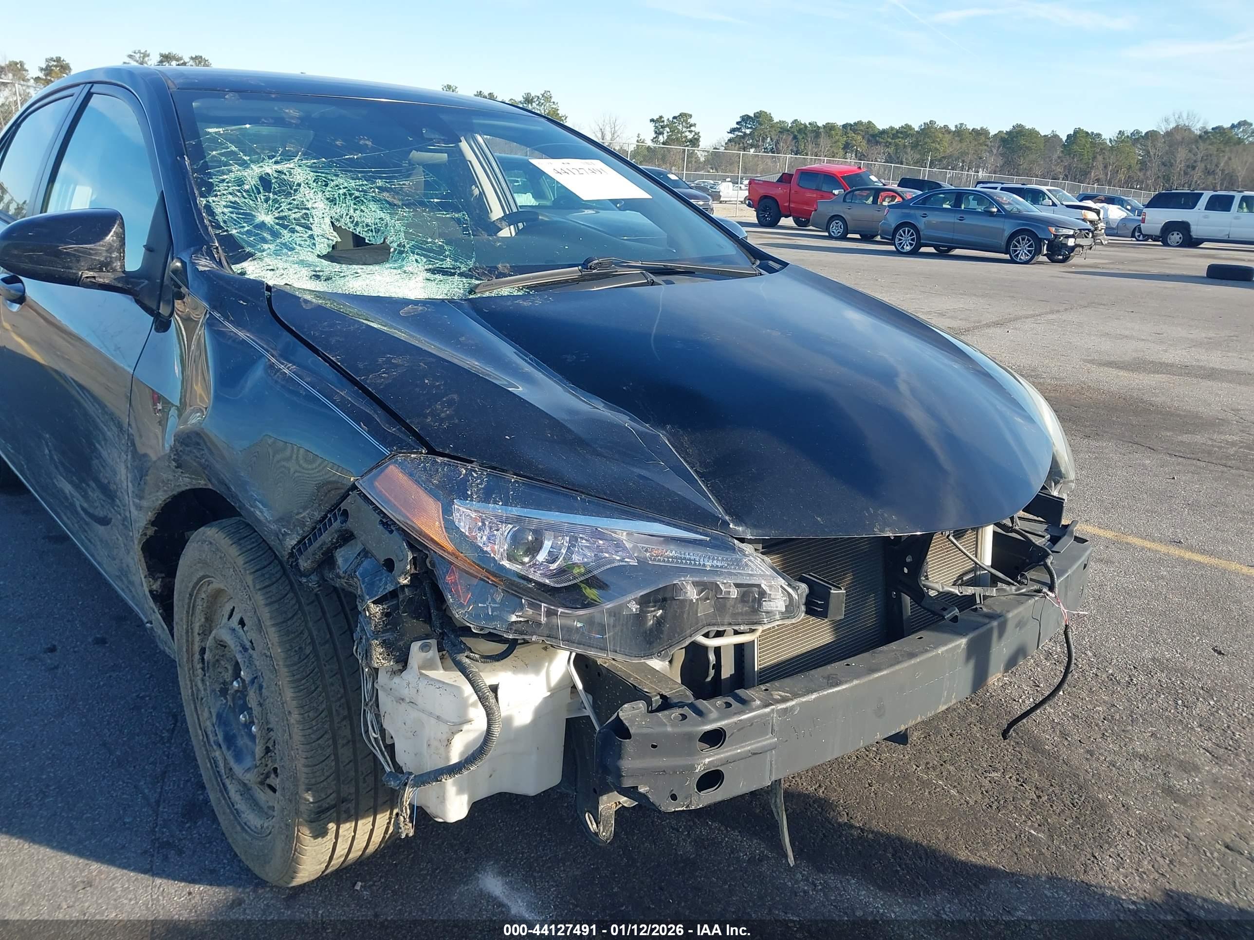 TOYOTA COROLLA image 6