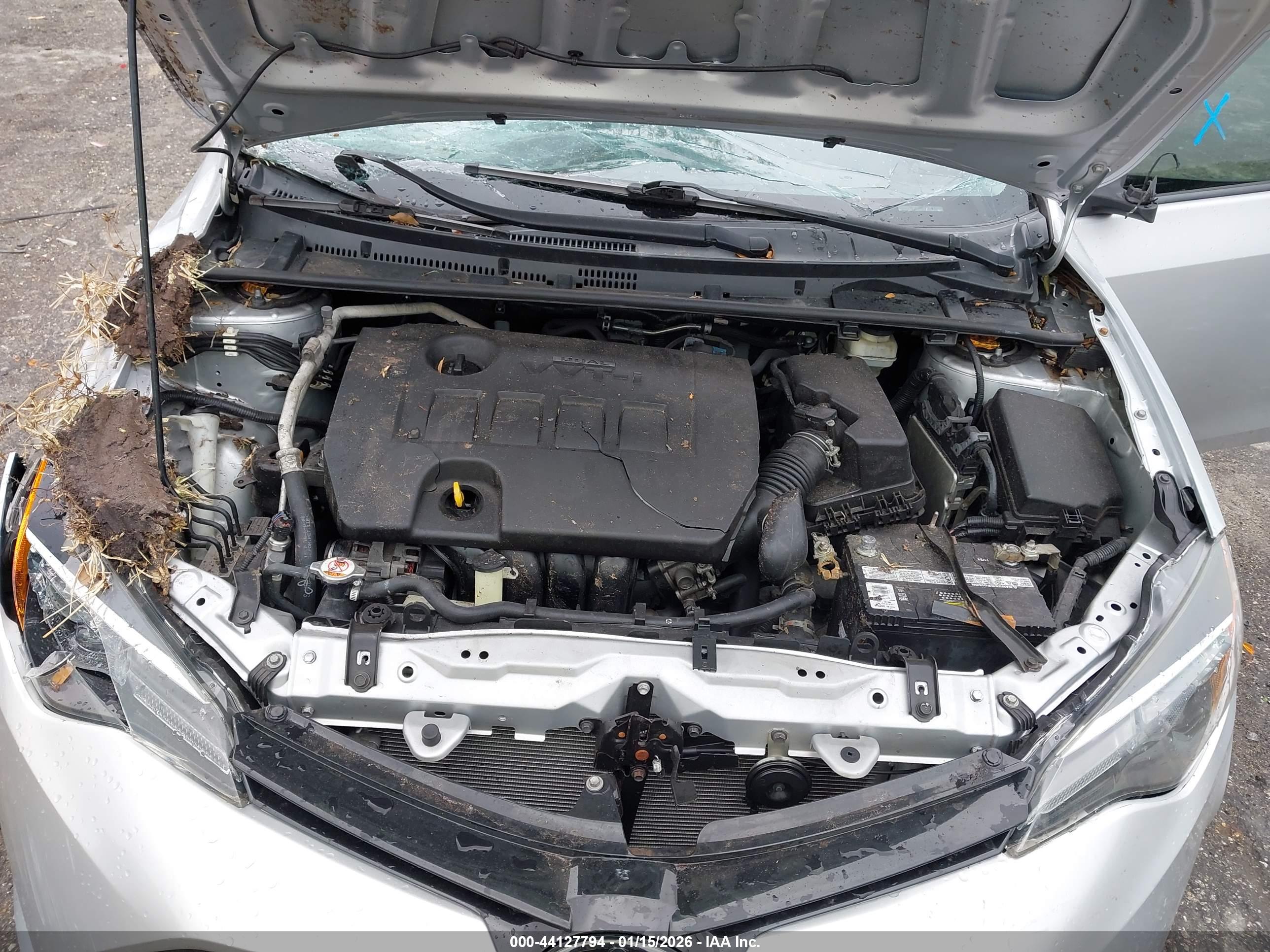TOYOTA COROLLA image 10