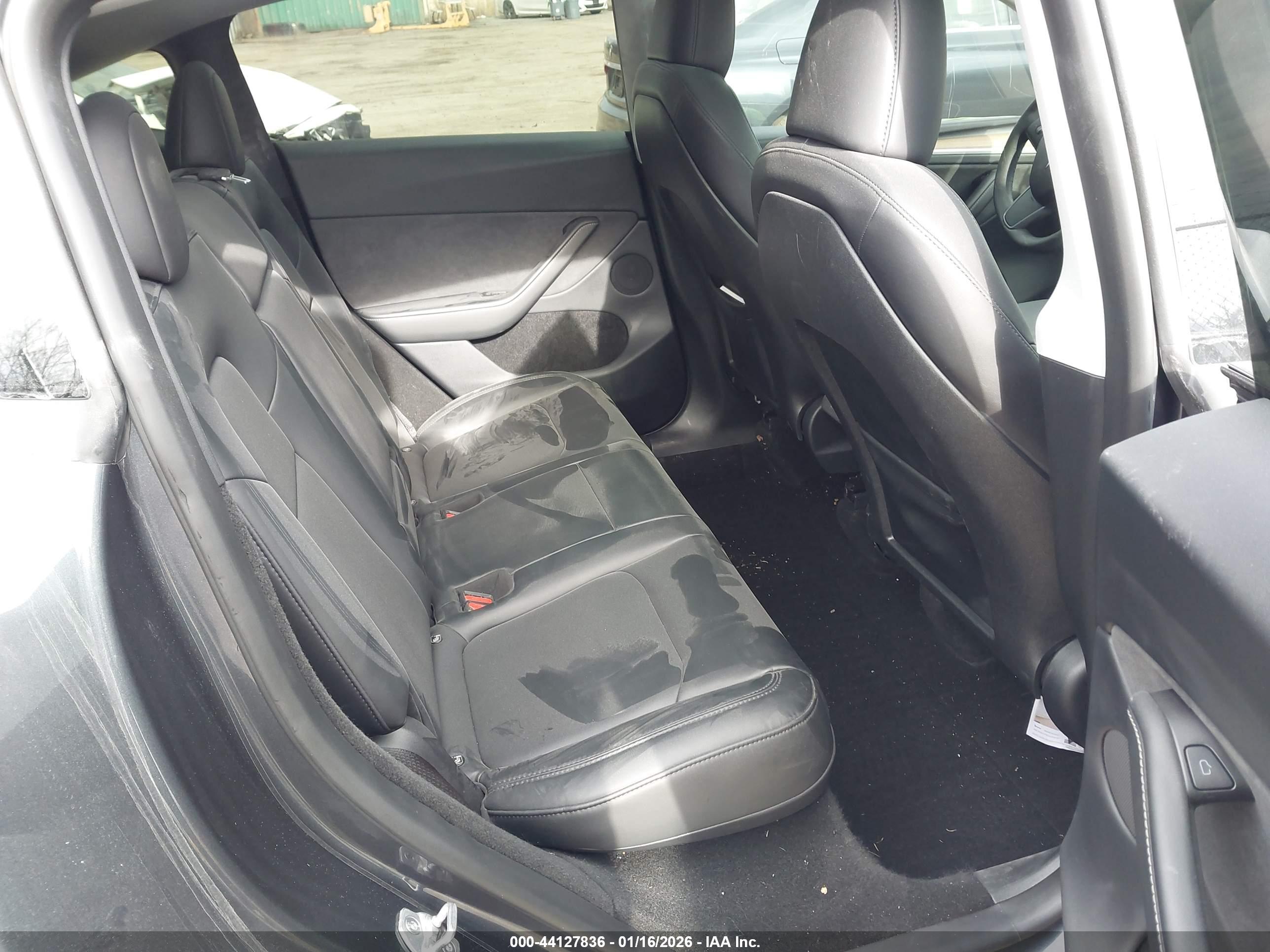 TESLA MODEL image 8