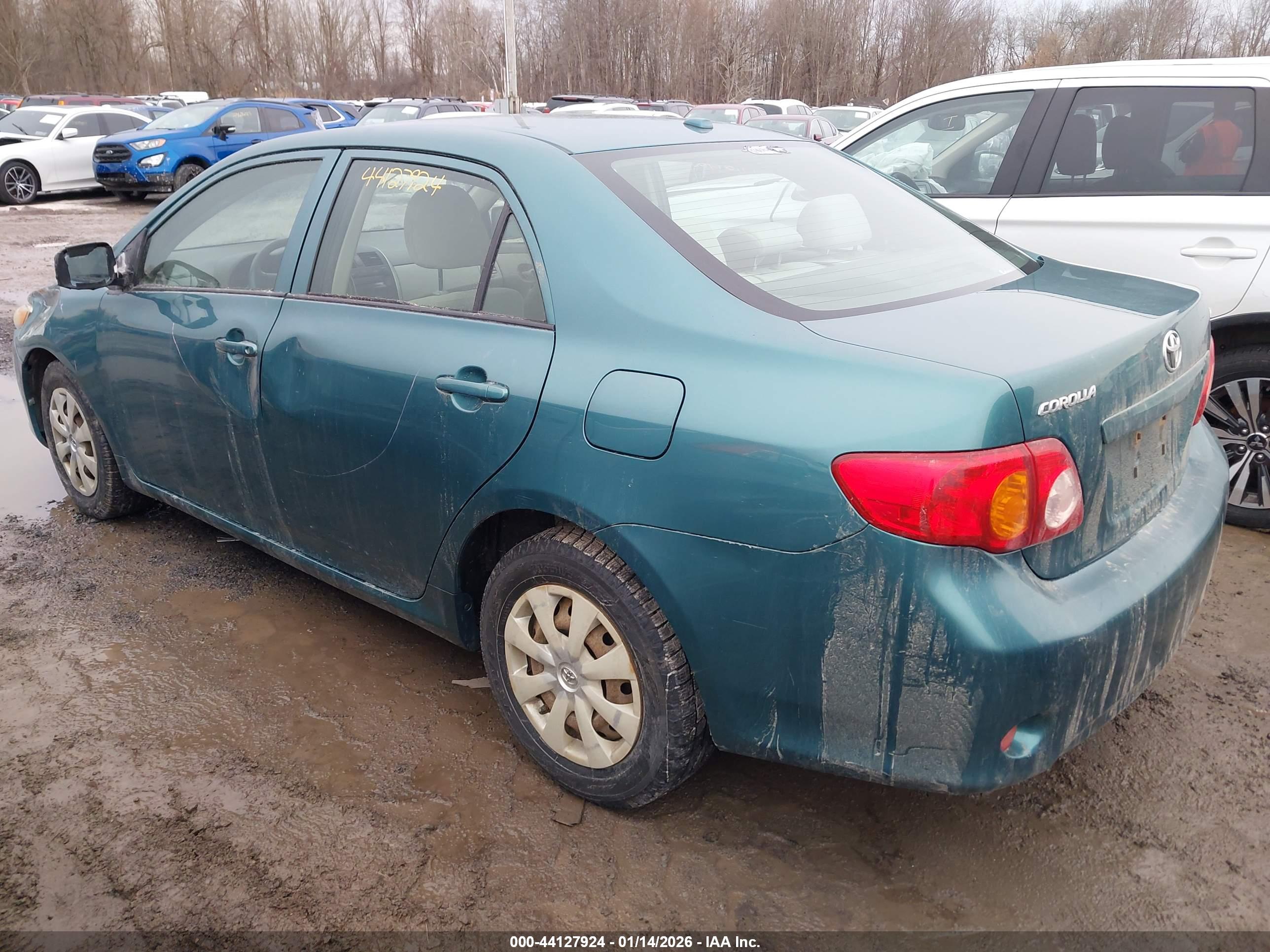 TOYOTA COROLLA image 3