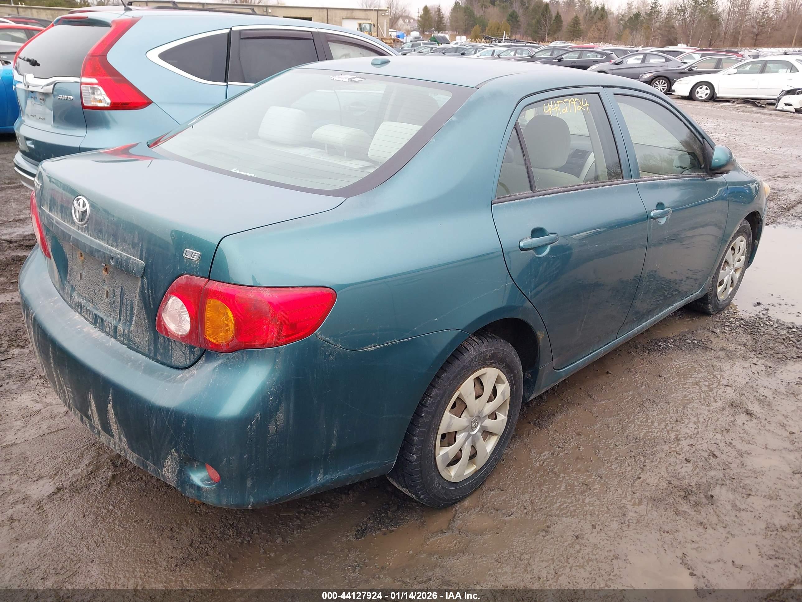 TOYOTA COROLLA image 4