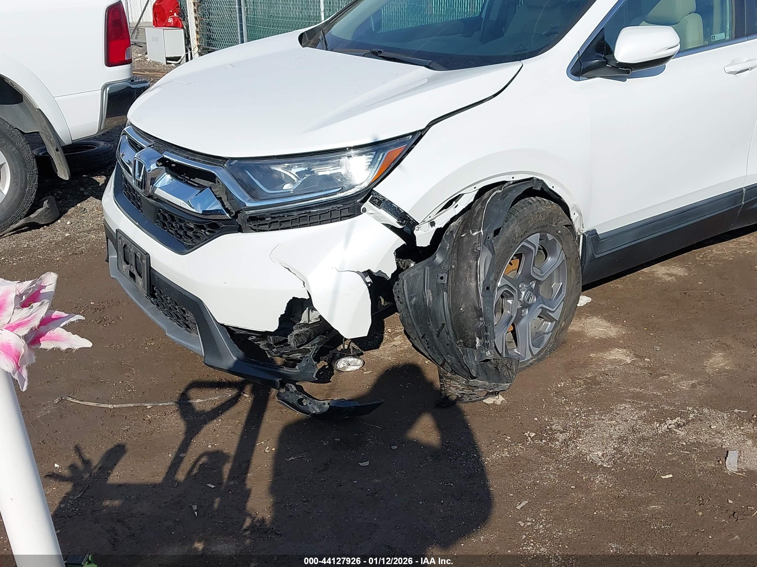 HONDA CR-V image 6