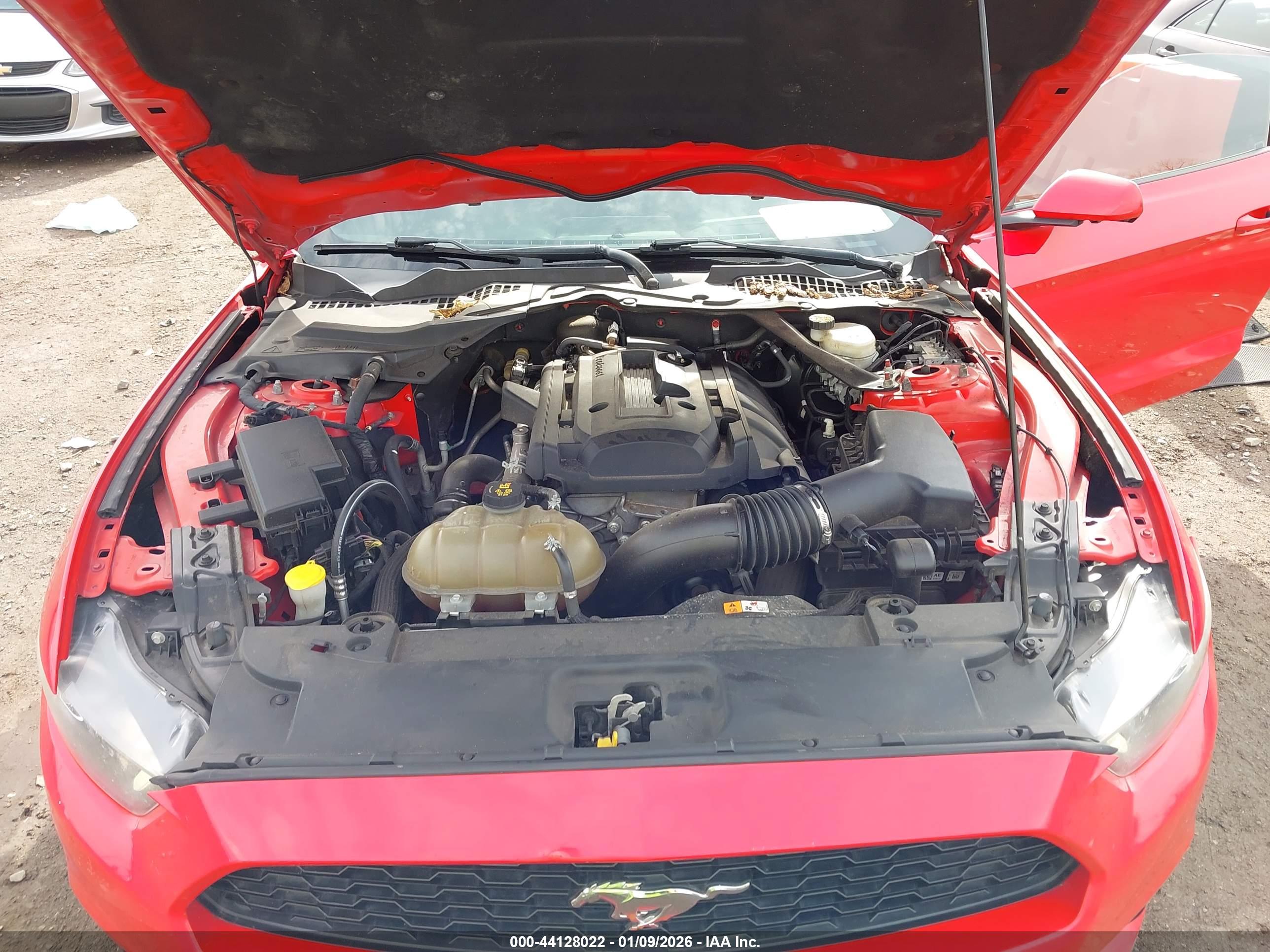 FORD MUSTANG image 10