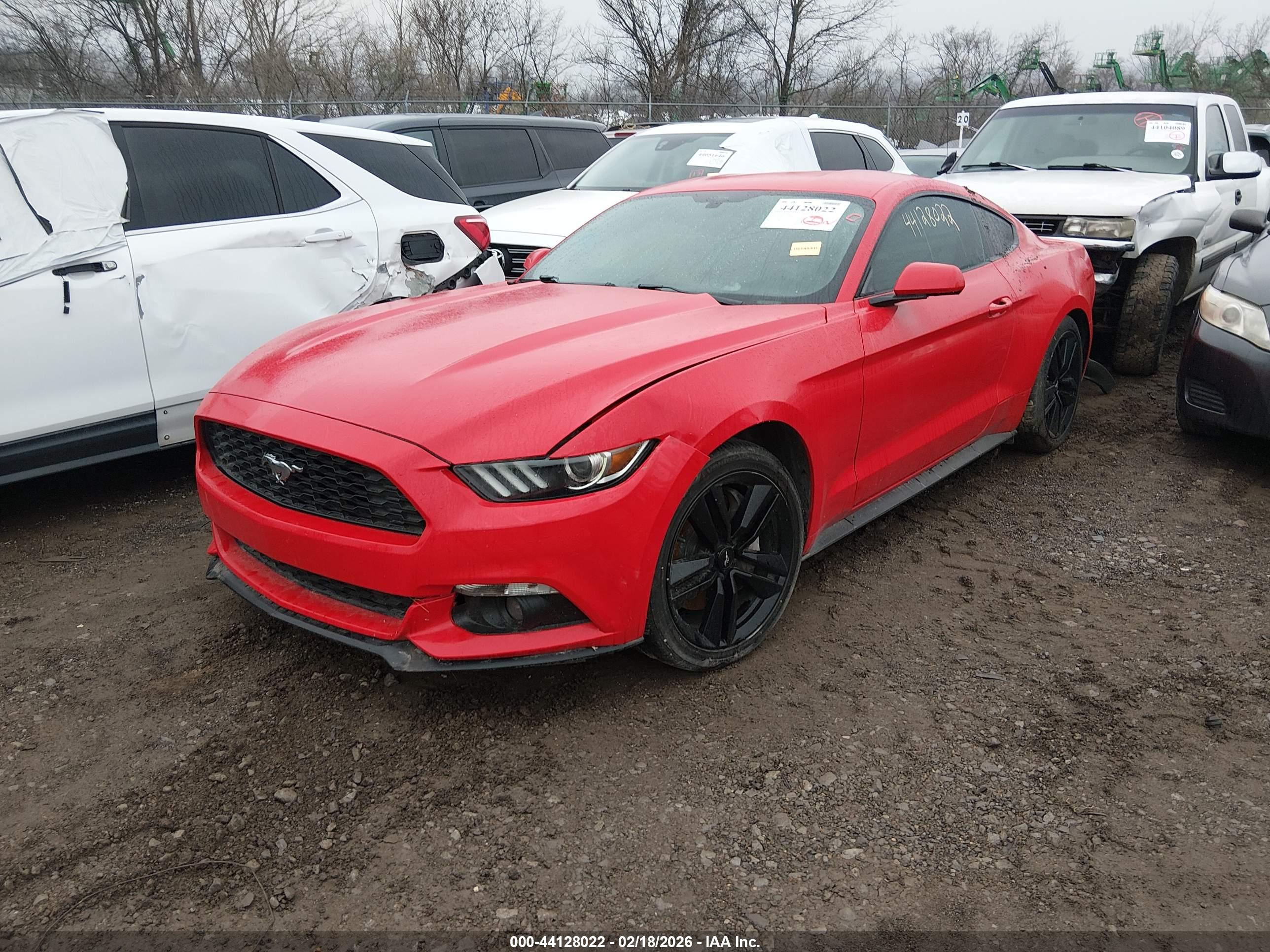 FORD MUSTANG image 2