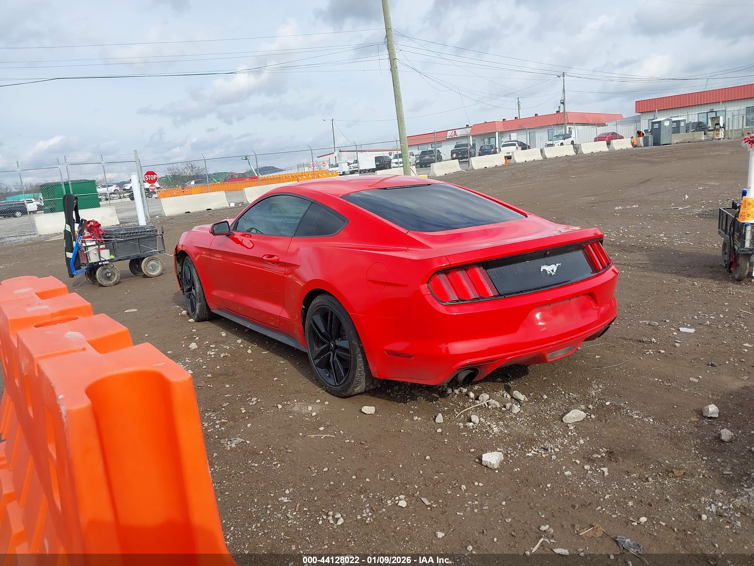 FORD MUSTANG image 3