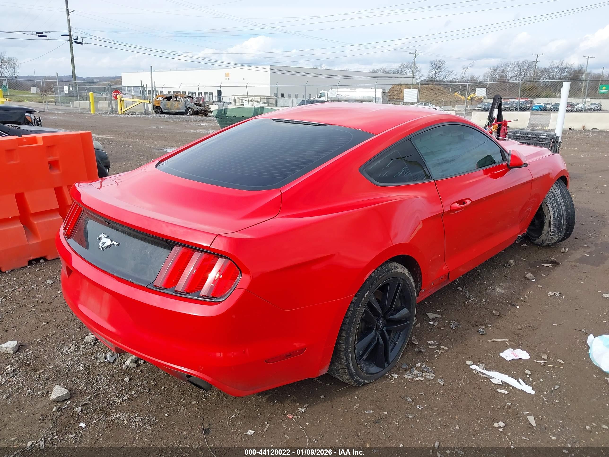 FORD MUSTANG image 4