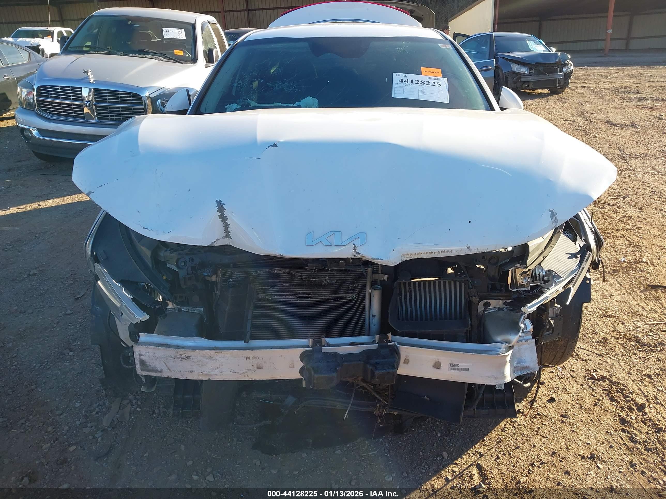 KIA K5 image 6