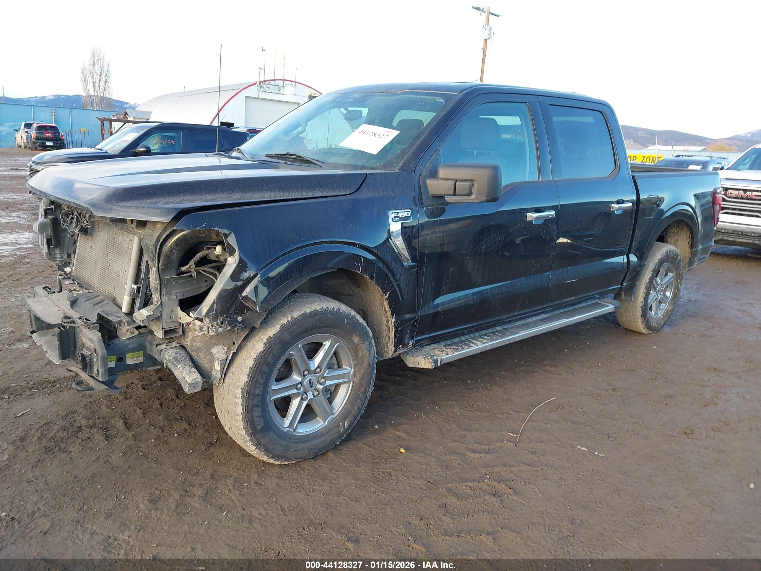 FORD F-150 image 2