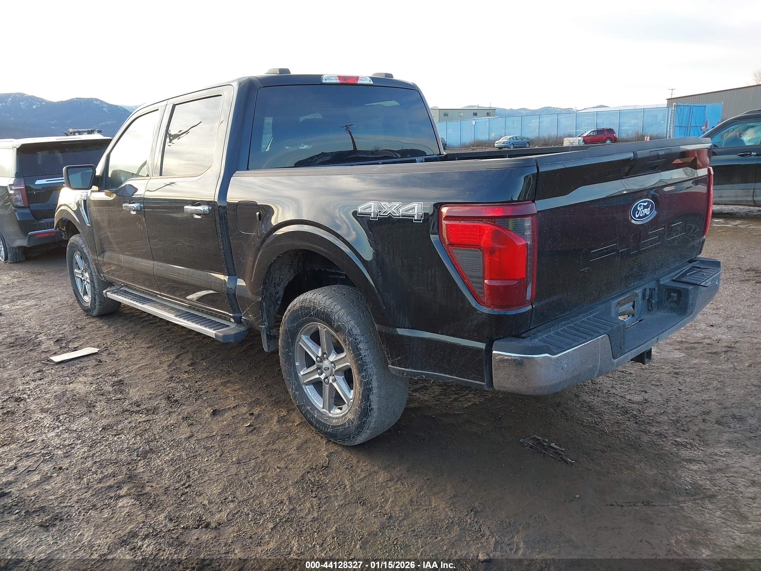 FORD F-150 image 3