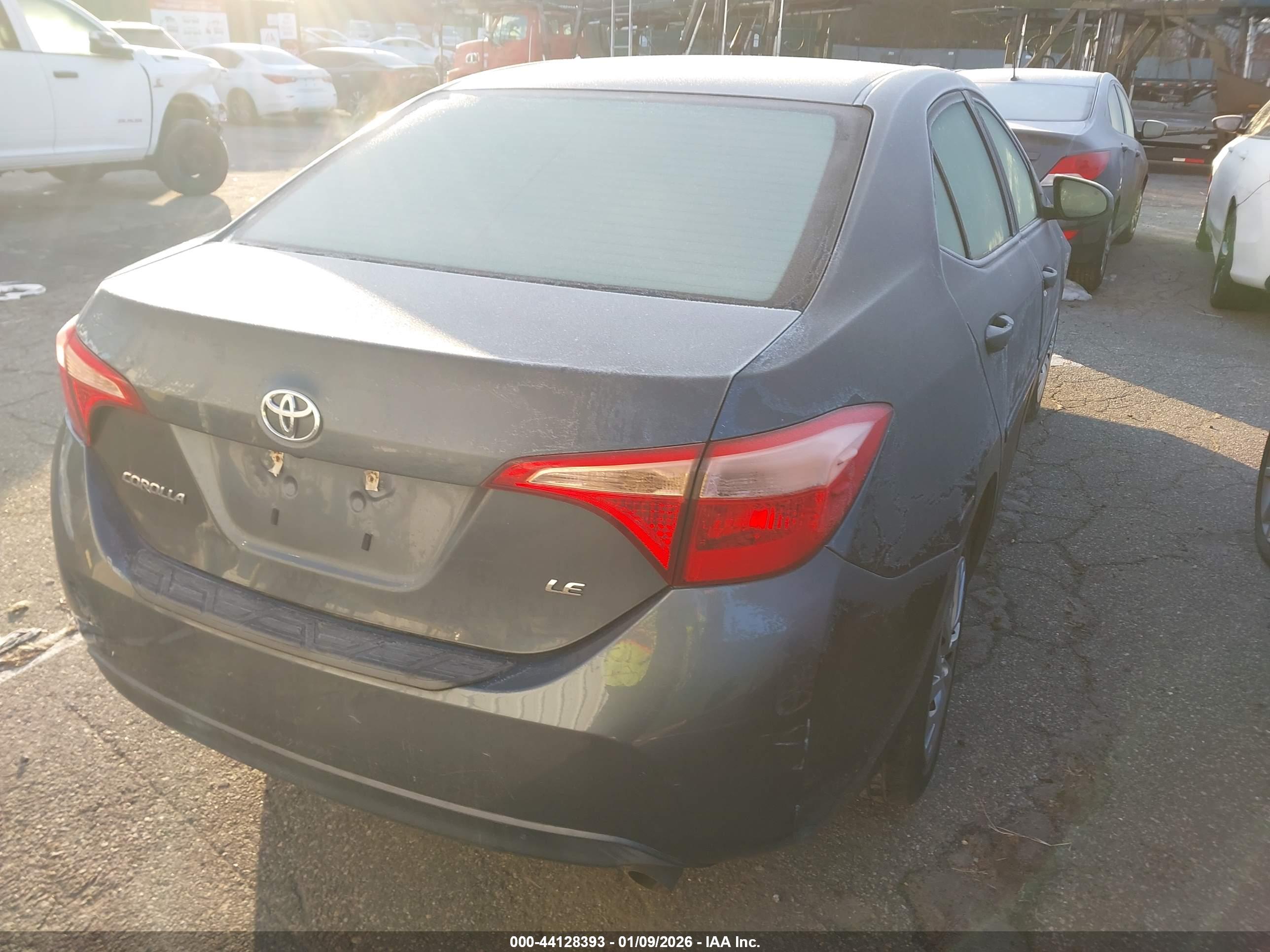 TOYOTA COROLLA image 4
