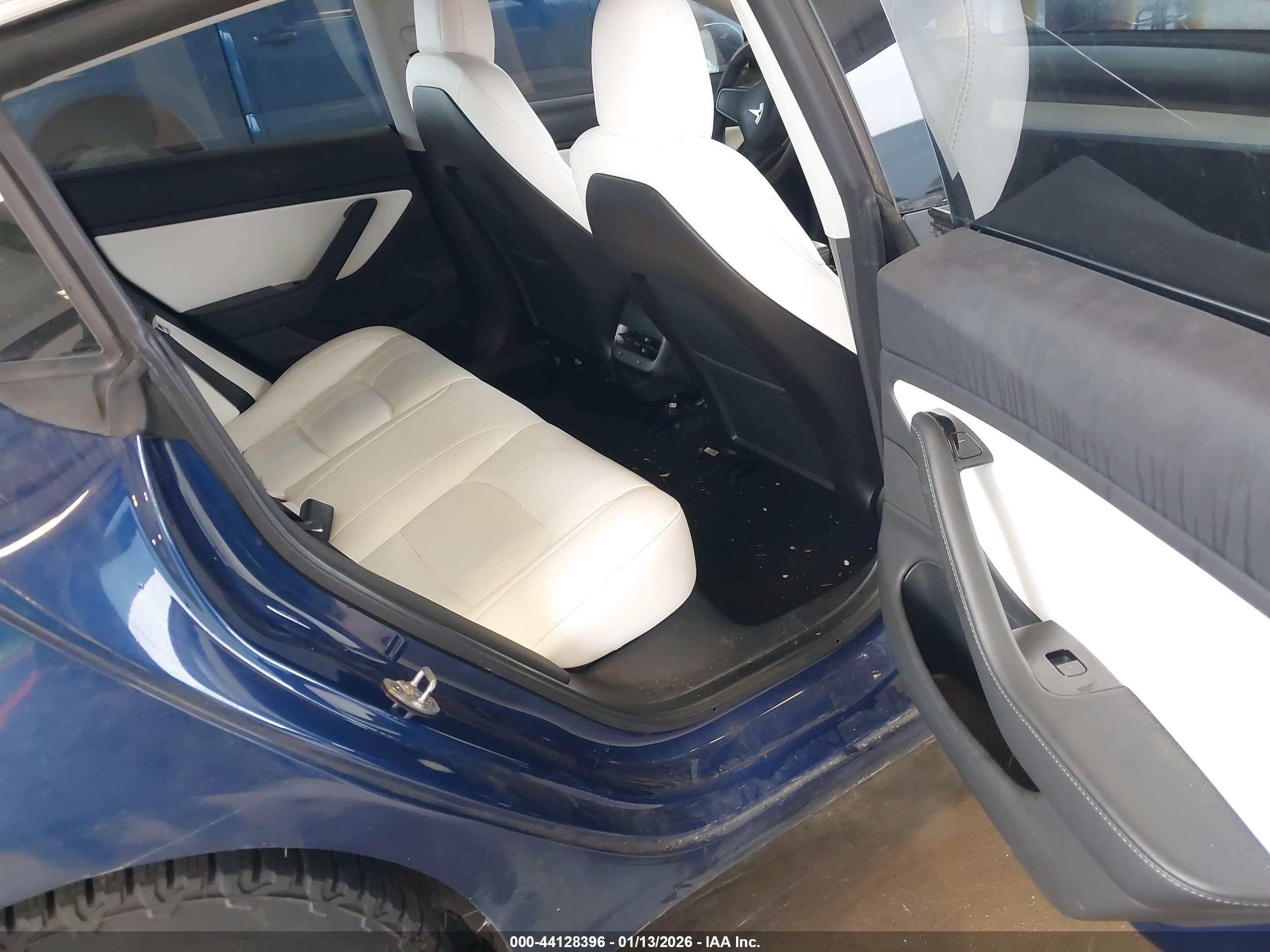 TESLA MODEL image 8