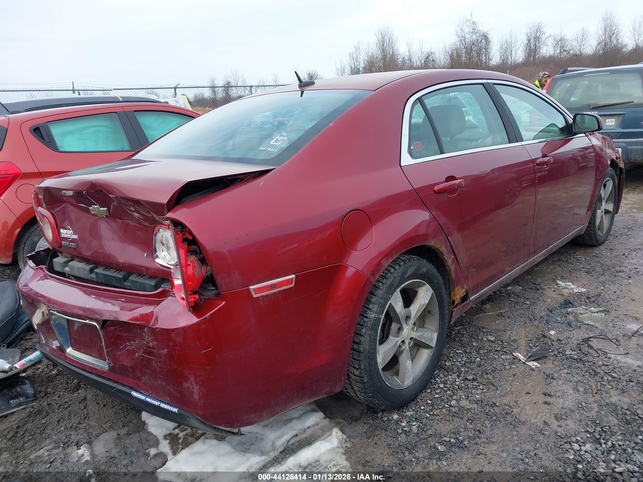CHEVROLET MALIBU image 4
