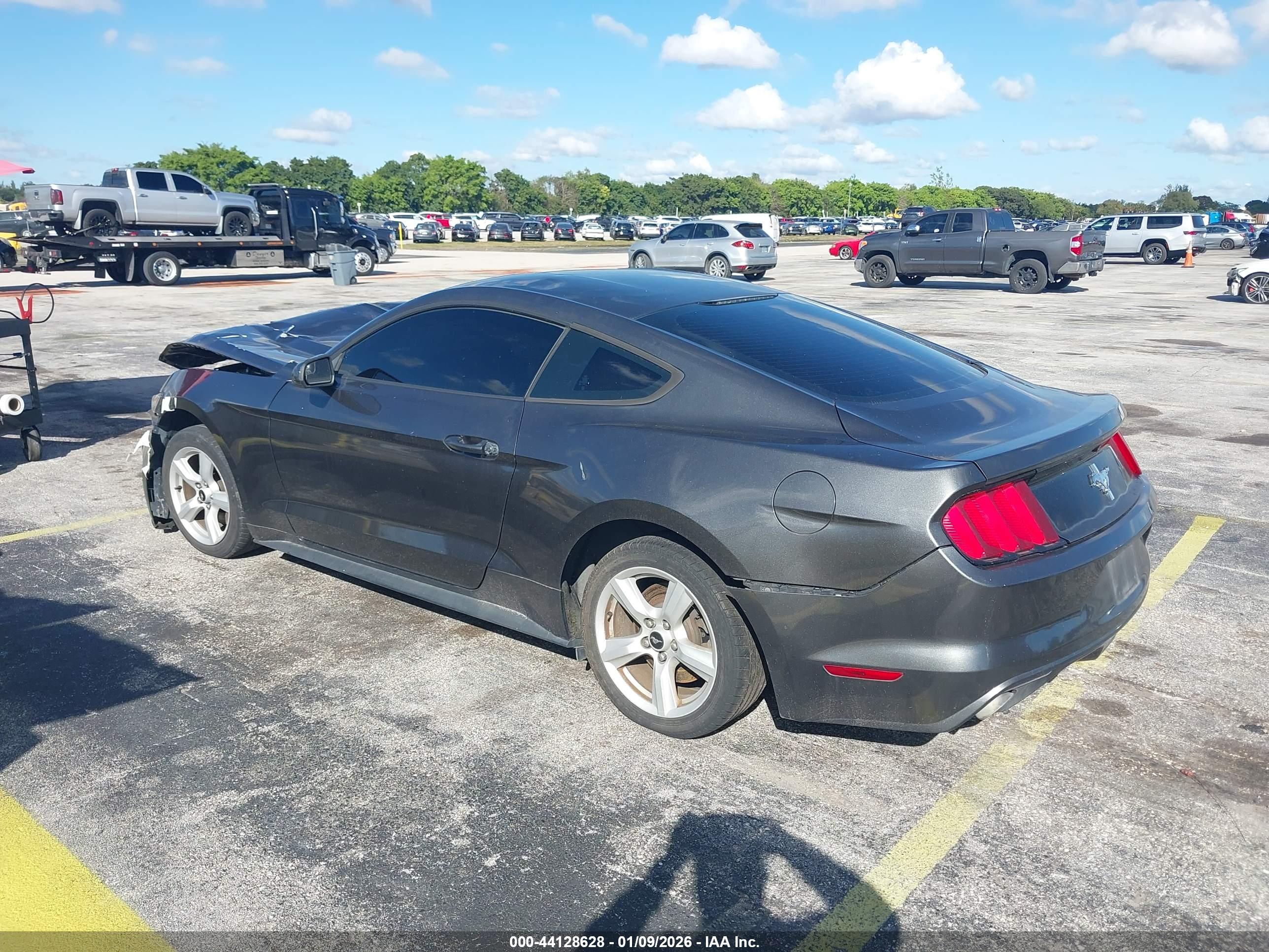 FORD MUSTANG image 3