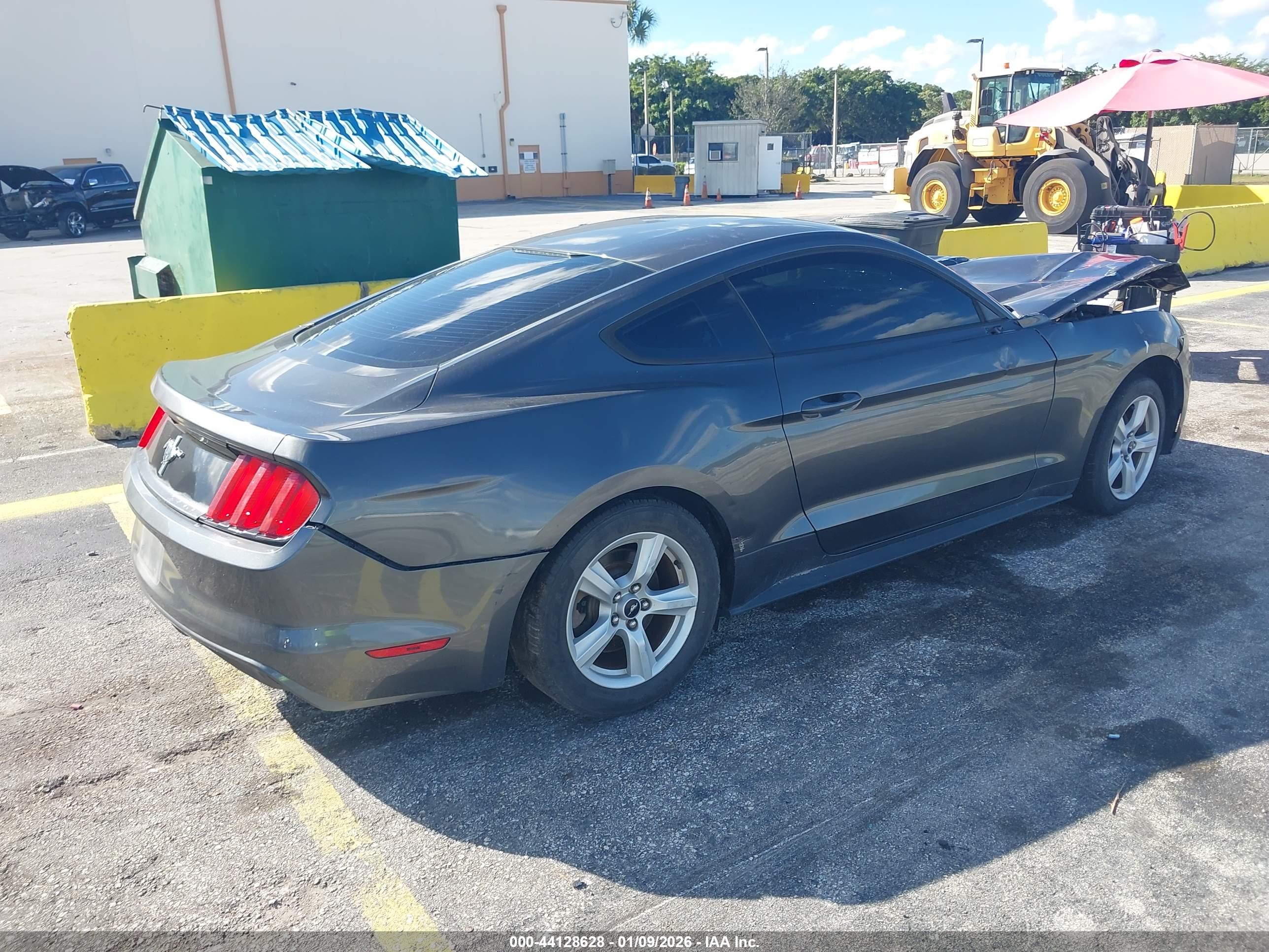 FORD MUSTANG image 4