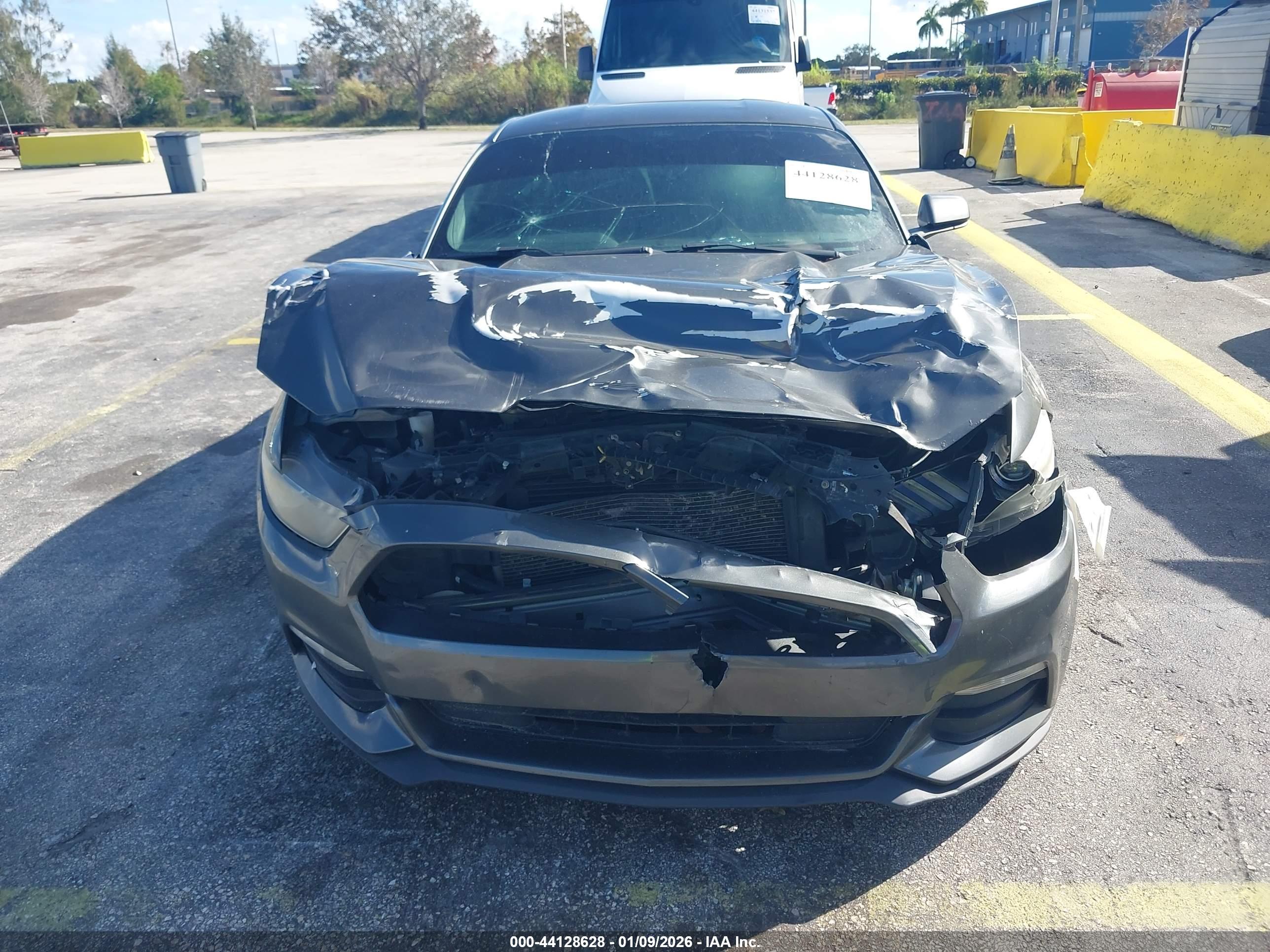 FORD MUSTANG image 6