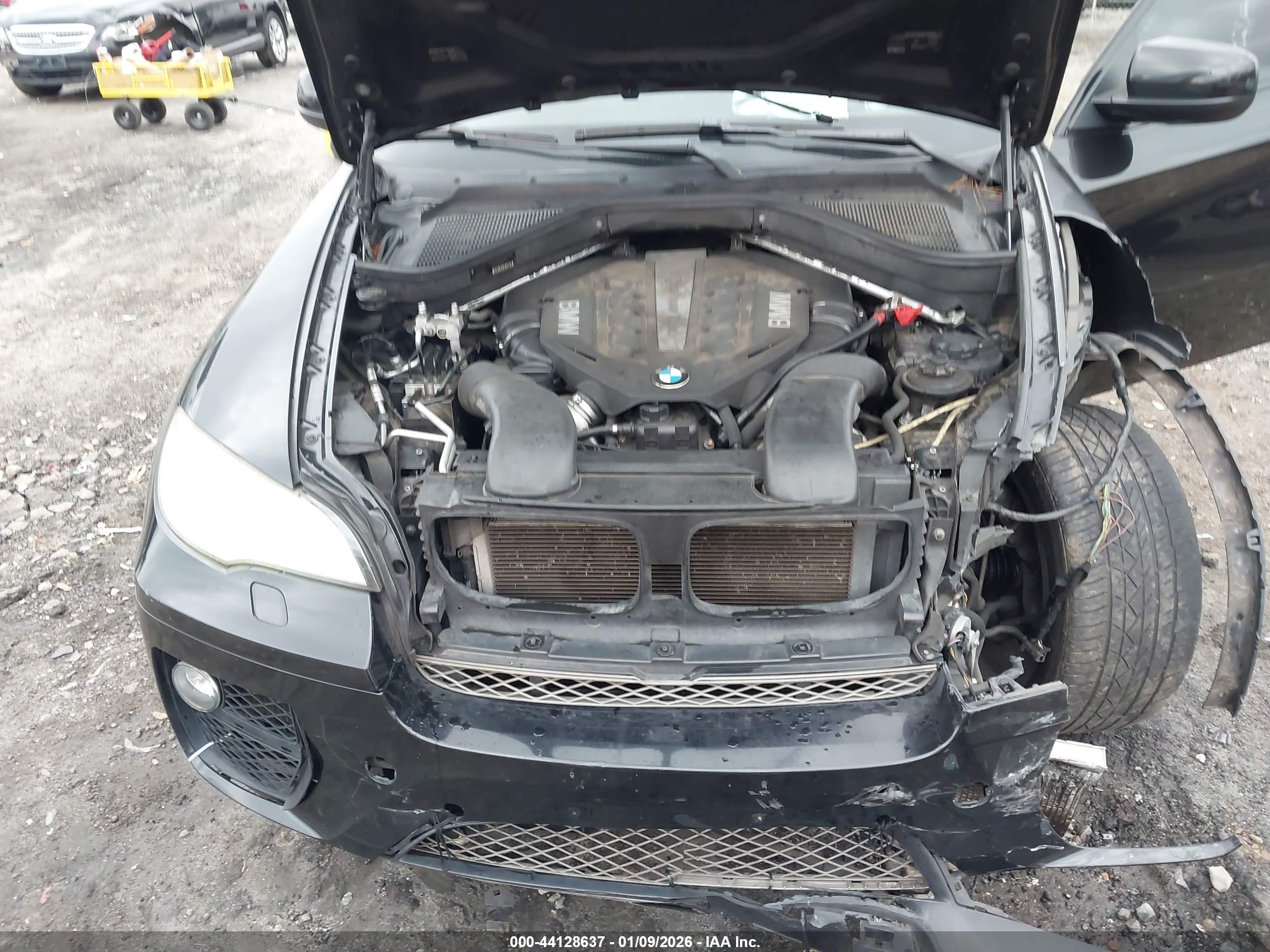 BMW X6 image 10