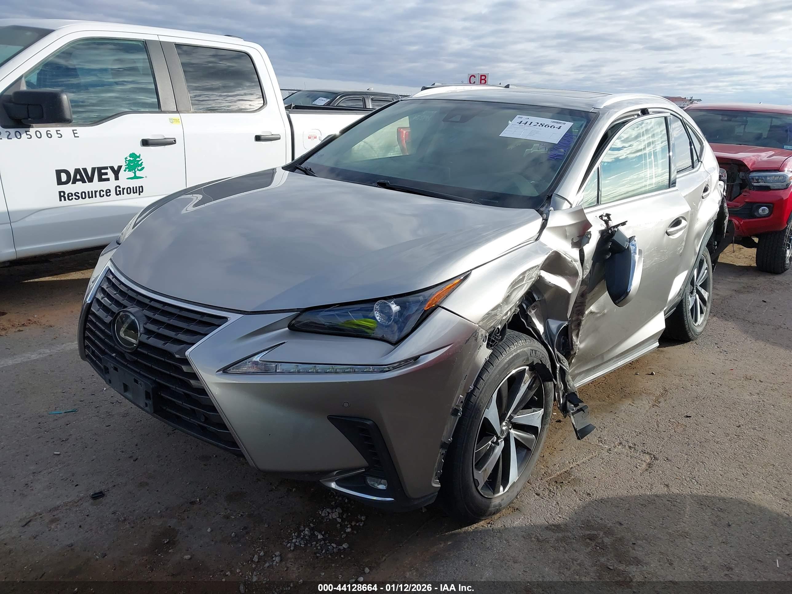 LEXUS NX image 2