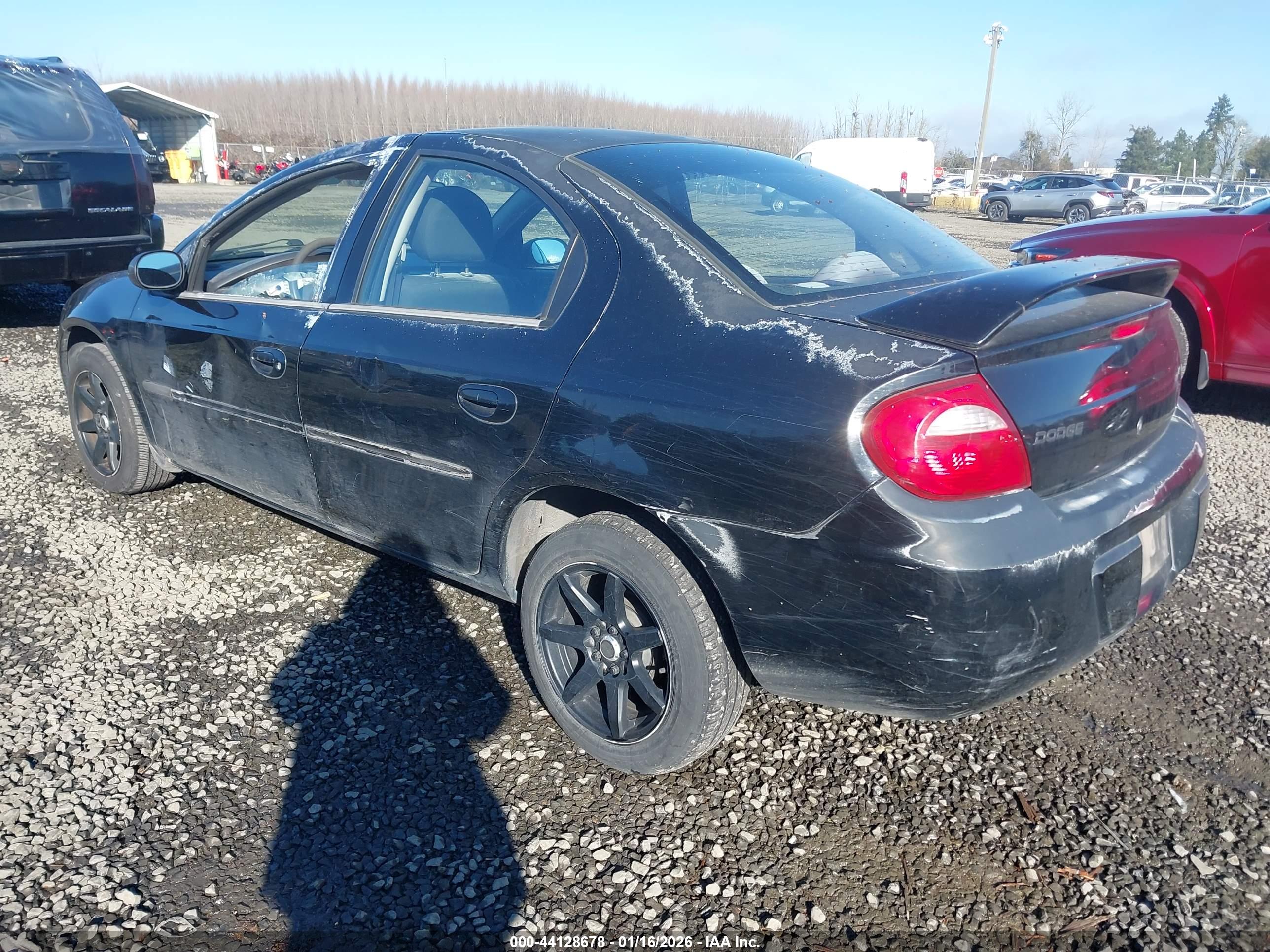 DODGE NEON image 3