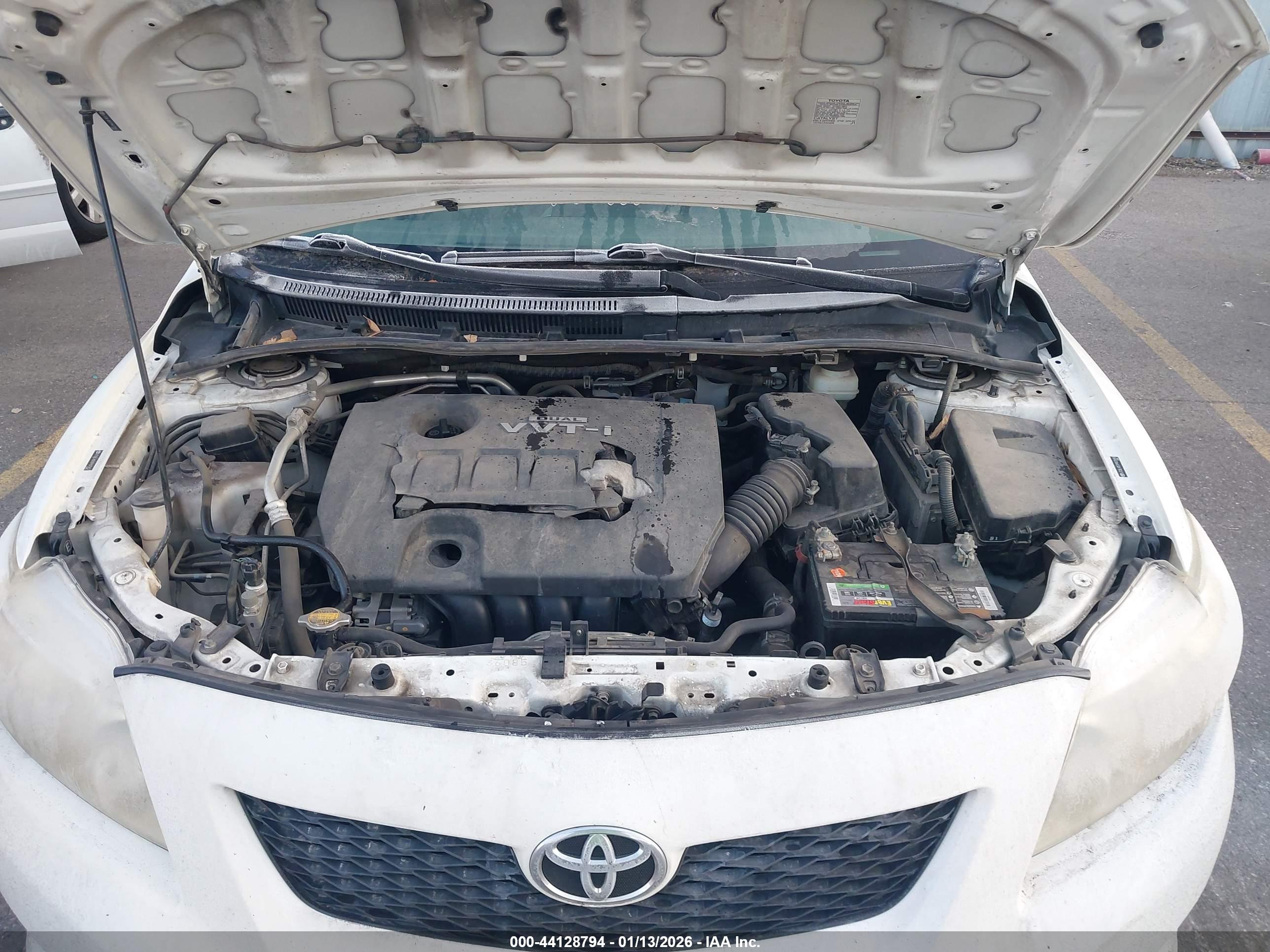 TOYOTA COROLLA image 10